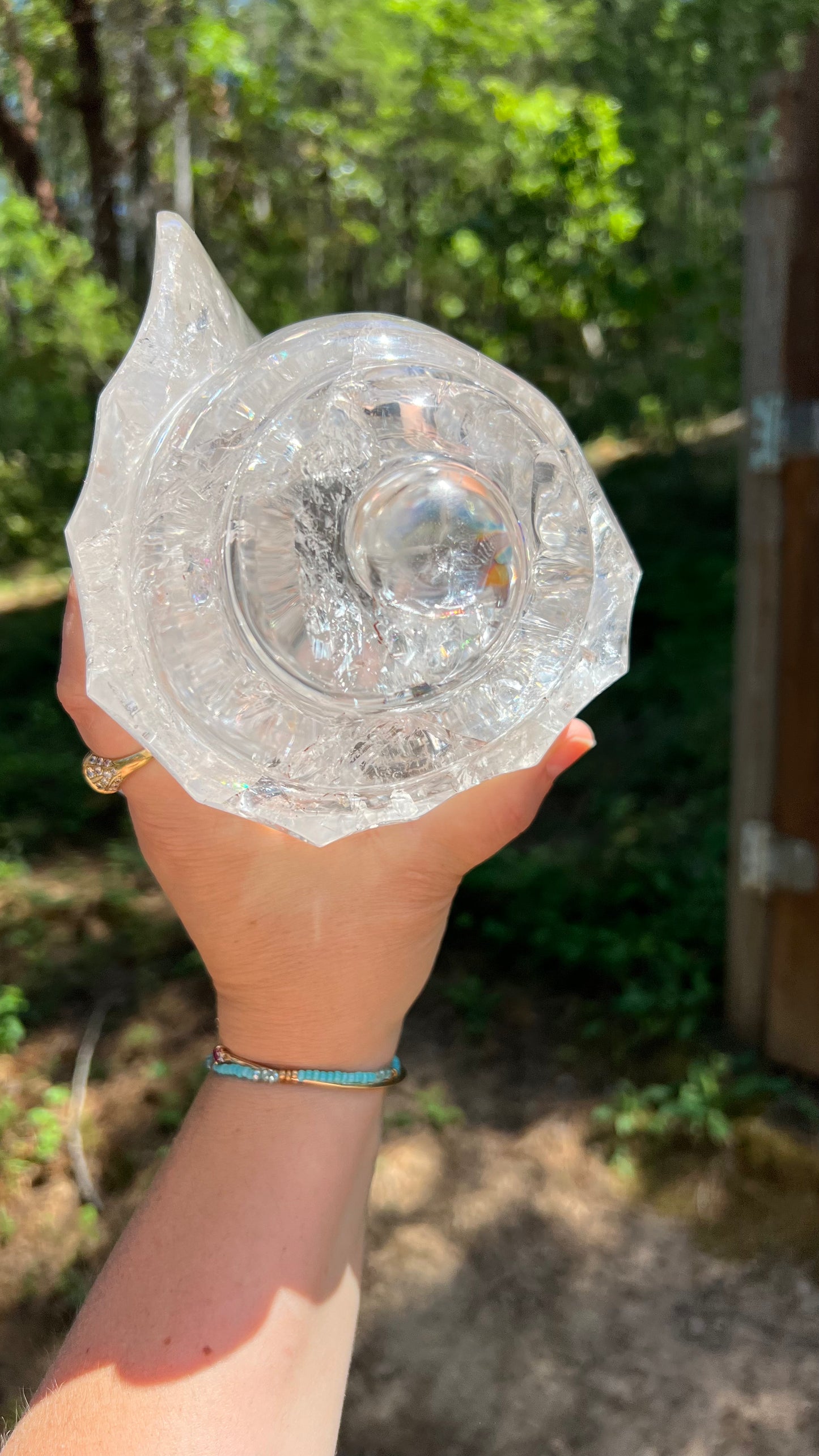 Prismatic Quartz Seashell Carving, 9lbs! Brazil