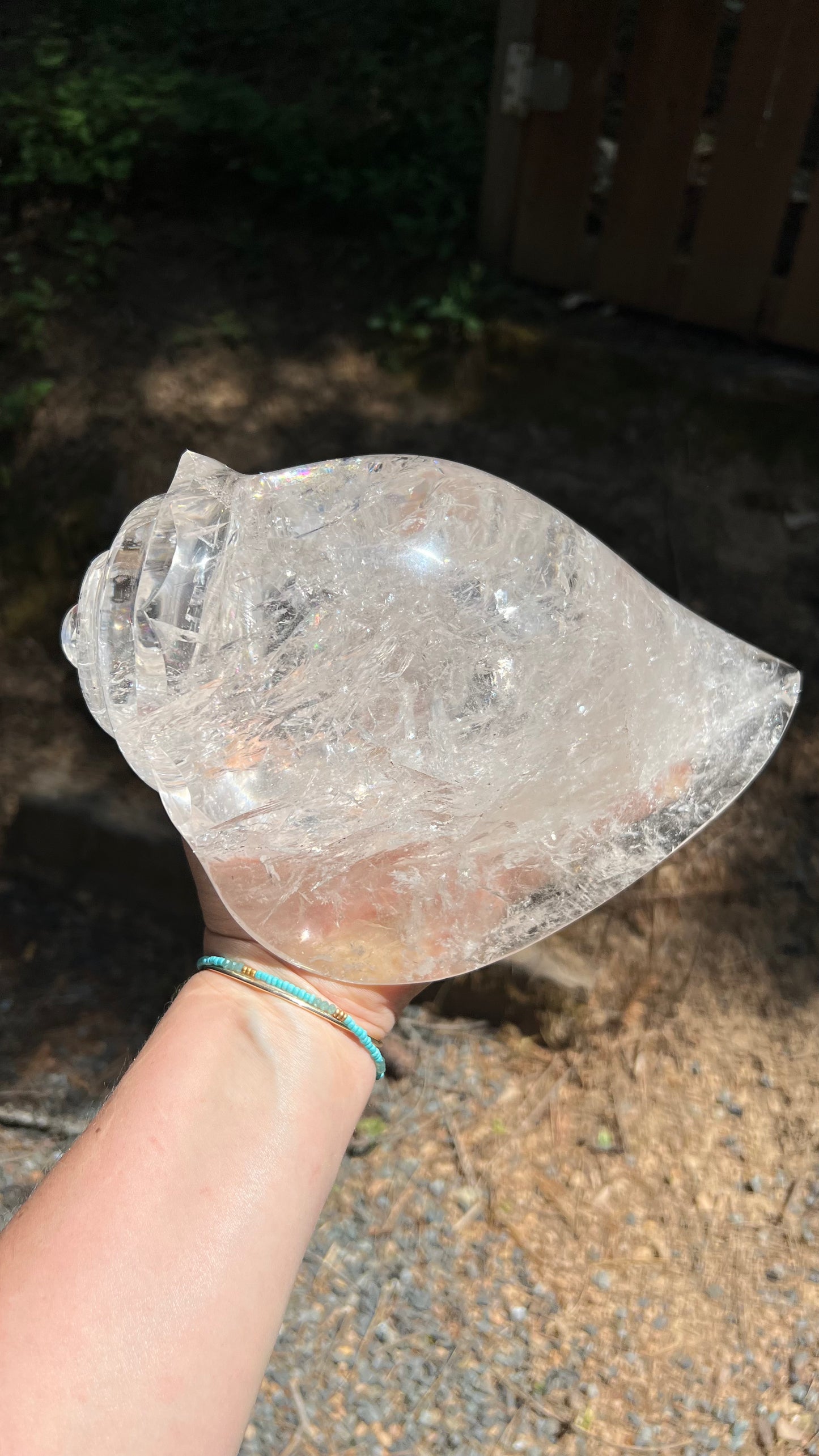 Prismatic Quartz Seashell Carving, 9lbs! Brazil