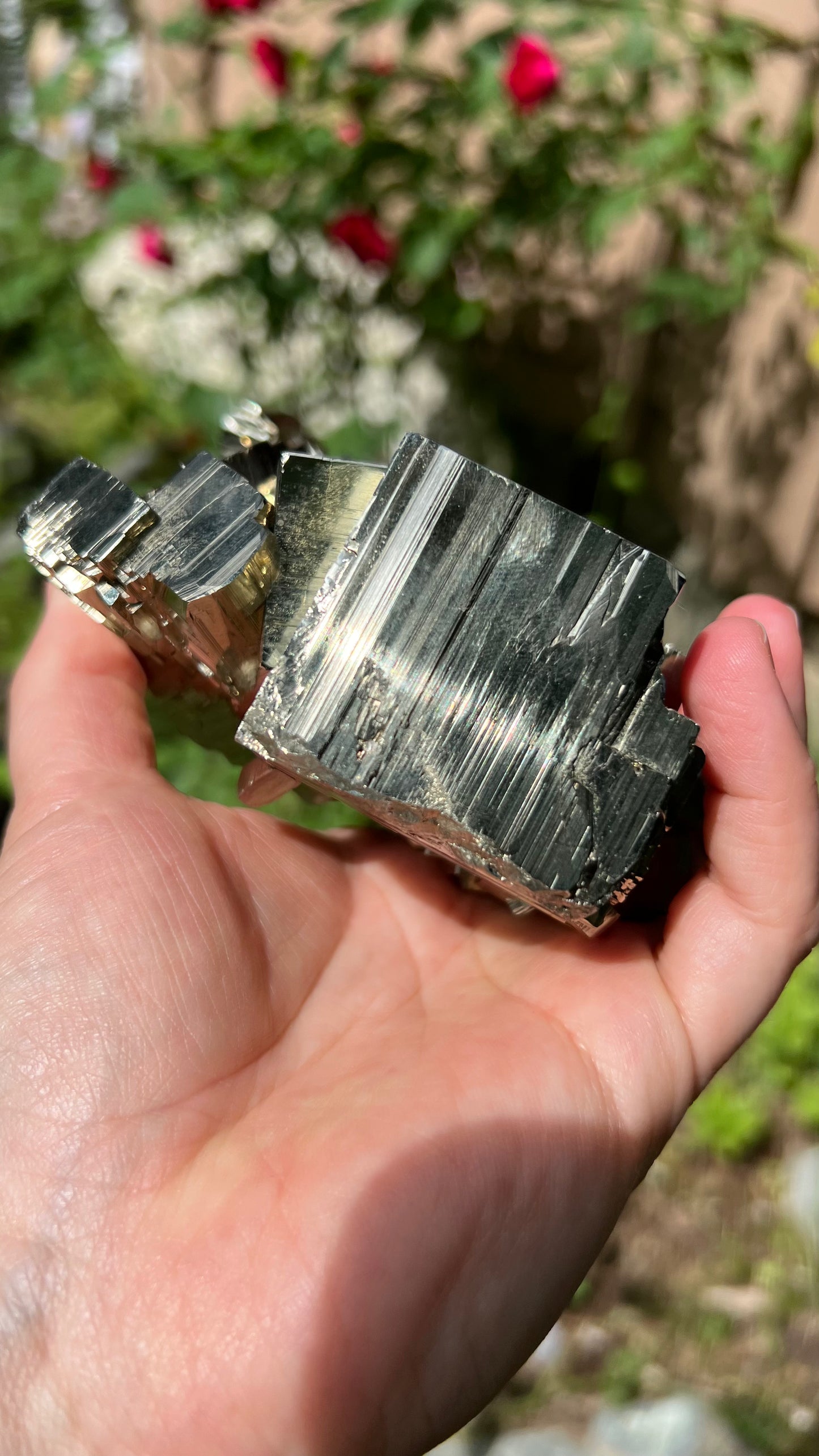 Striking Pyrite with Quartz, Huanzala Mine, Peru