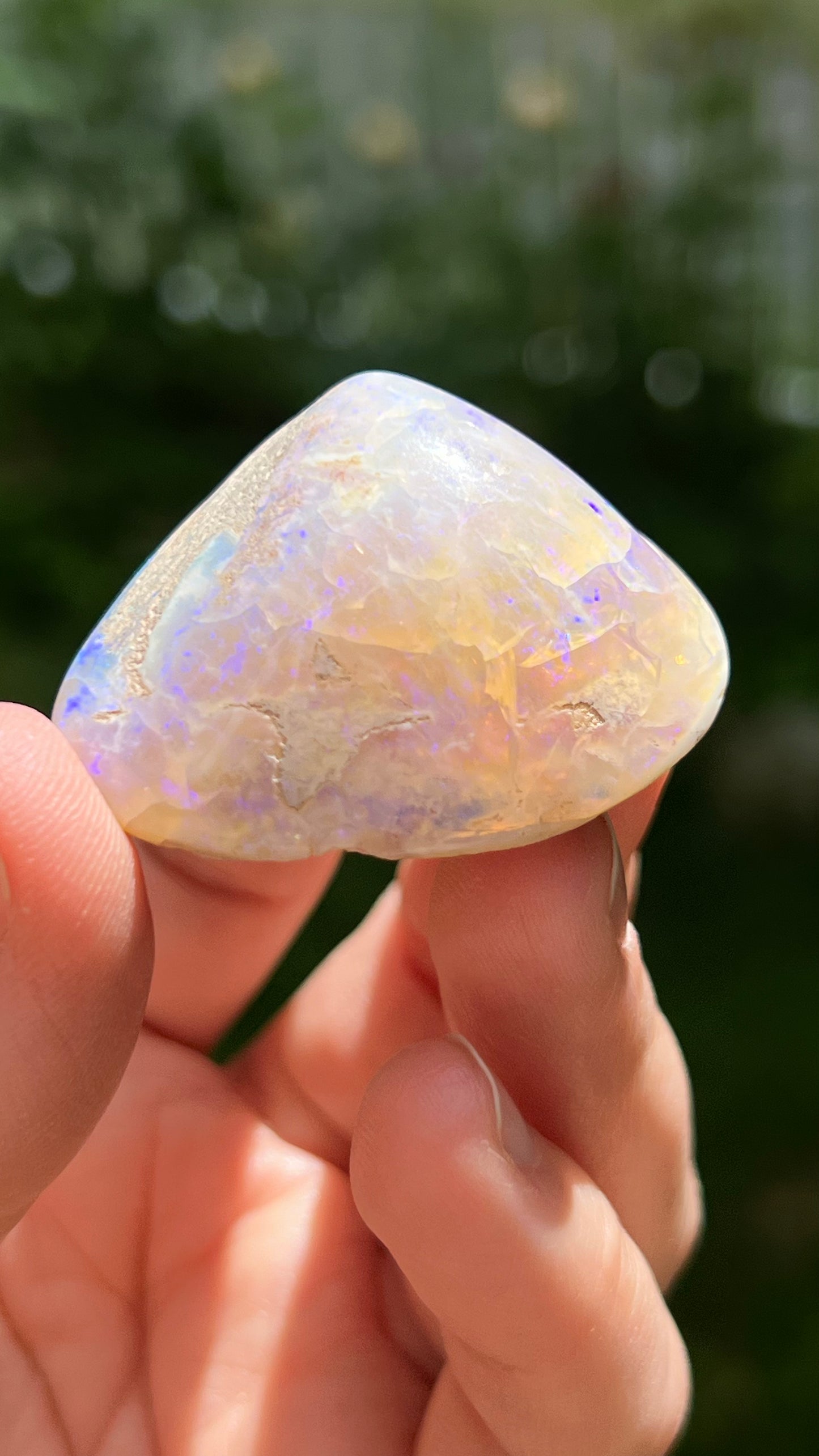 Opalized Clam Shell, 128cts Coober Pedy Australia, Iridescent Fossils