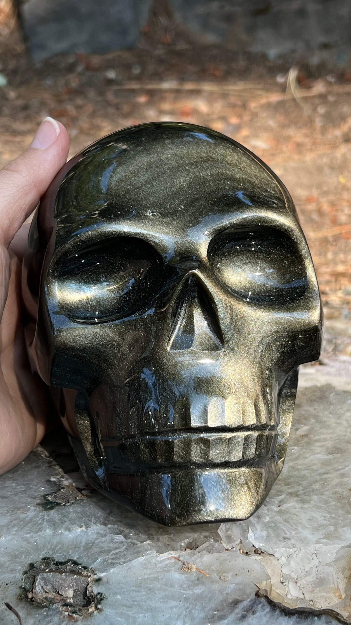 Gold Sheen Black Obsidian Skull