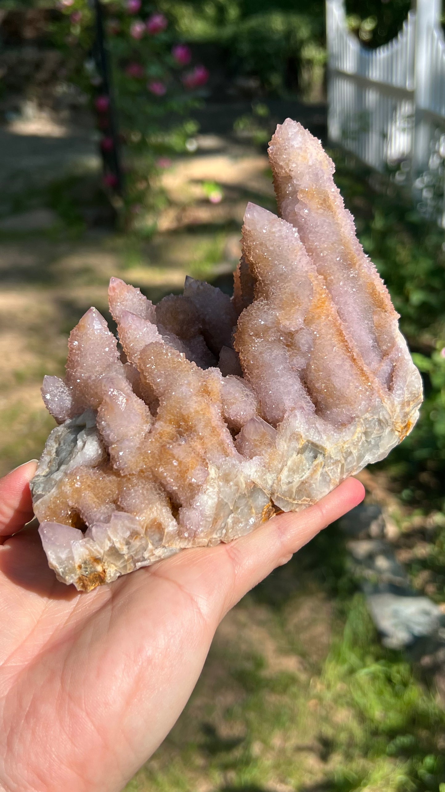 Lavender Spirit Quartz Cactus Quartz, South Africa
