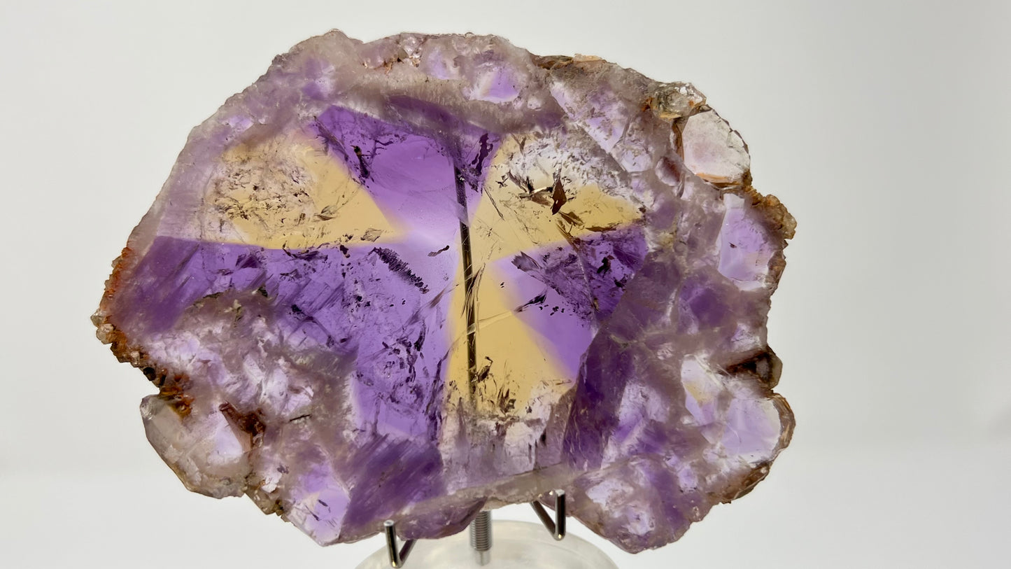 Ametrine Polished Slice, Anahi Mine, Bolivia 166g