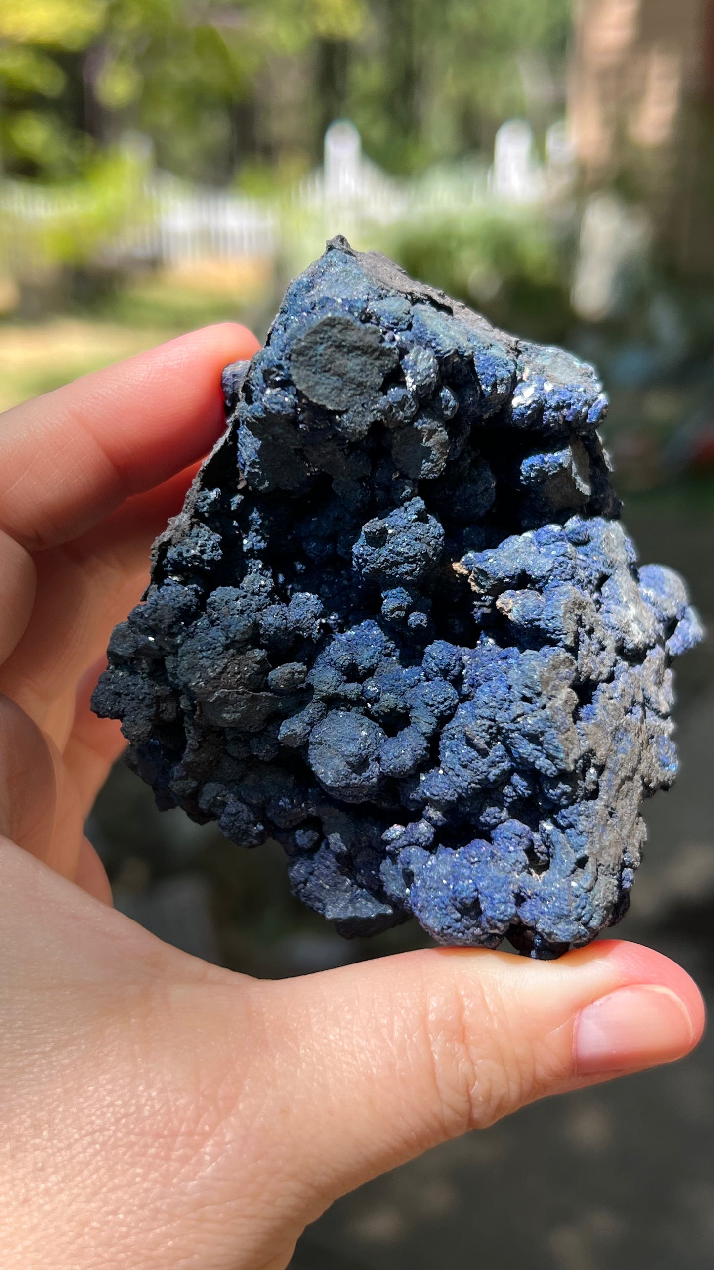 Azurite Rosette Cluster, Morenci Mine Region, Arizona USA
