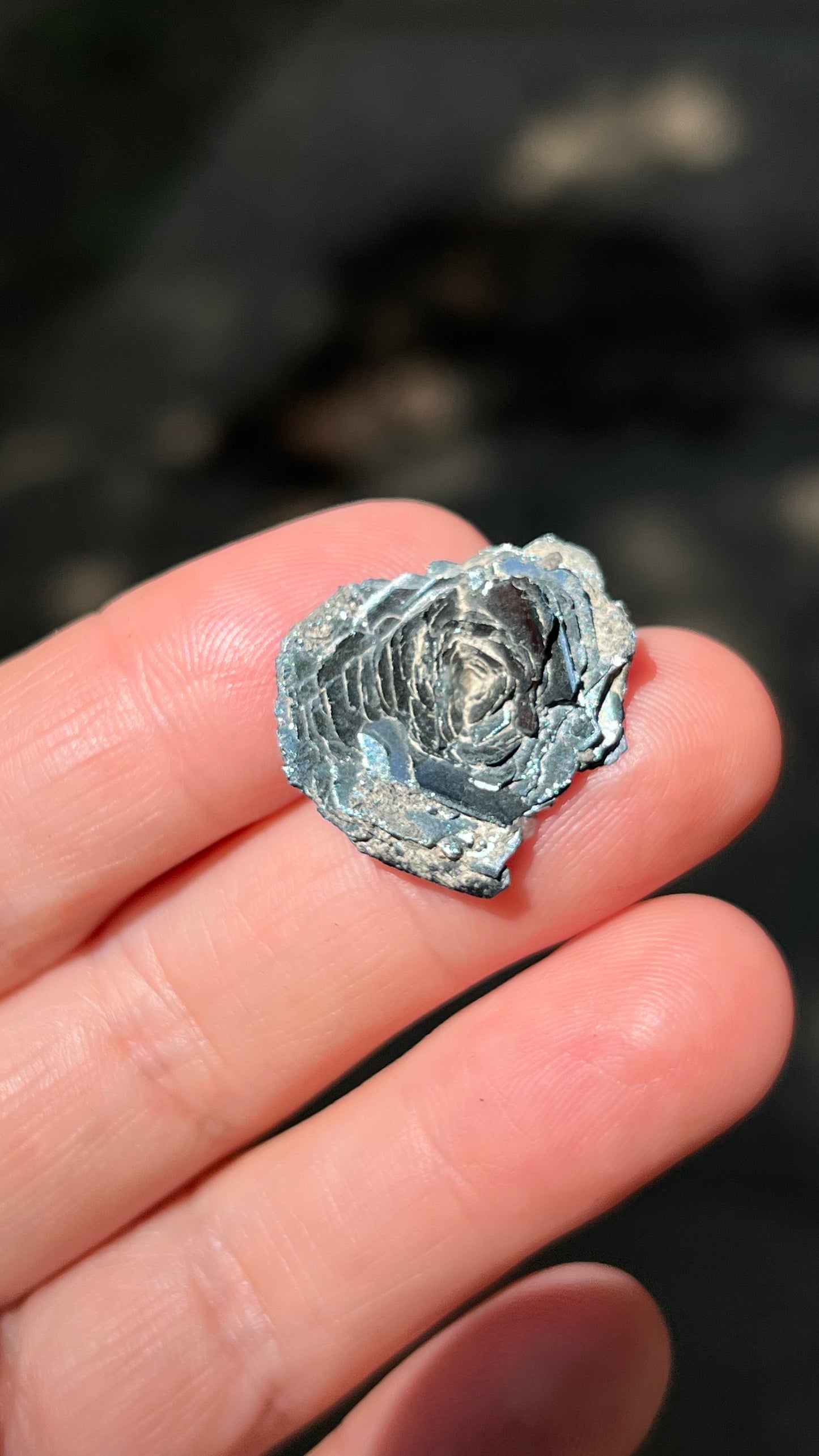 Iron Rose, Hematite Rosette