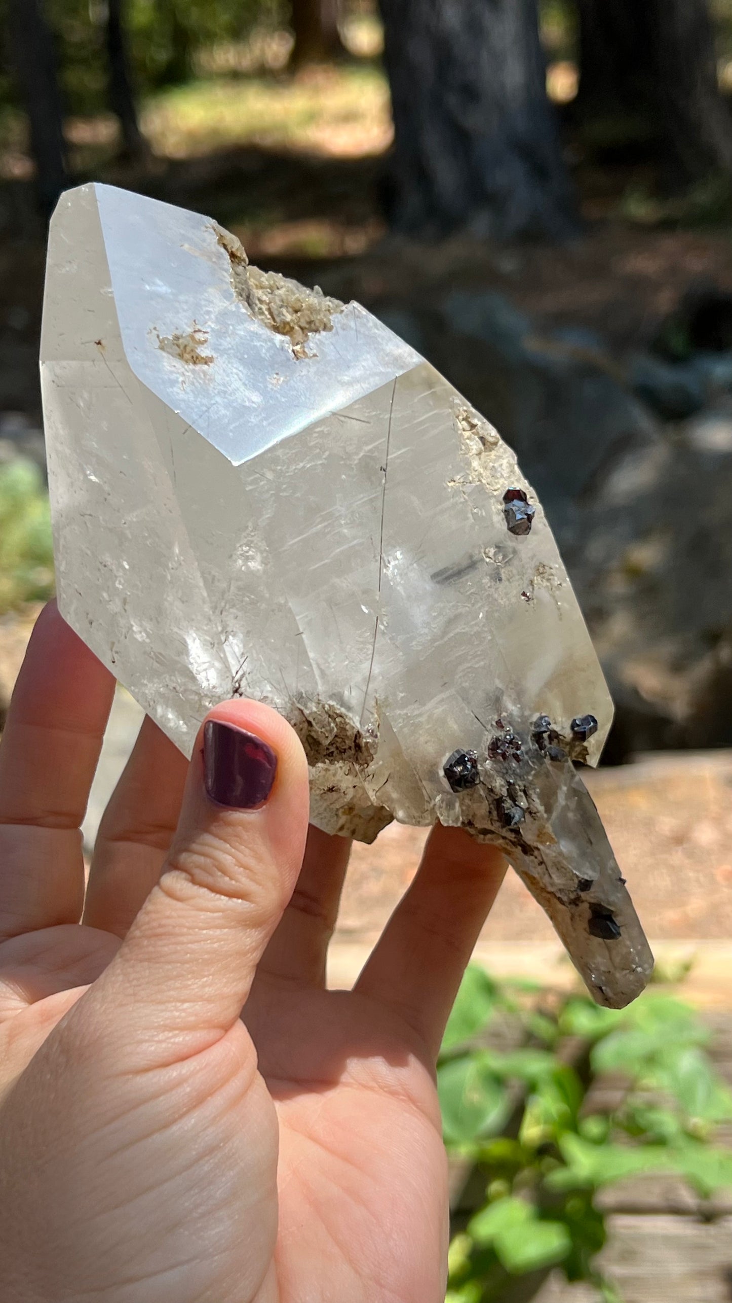 Quartz Scepter with Rutile and Garnets
