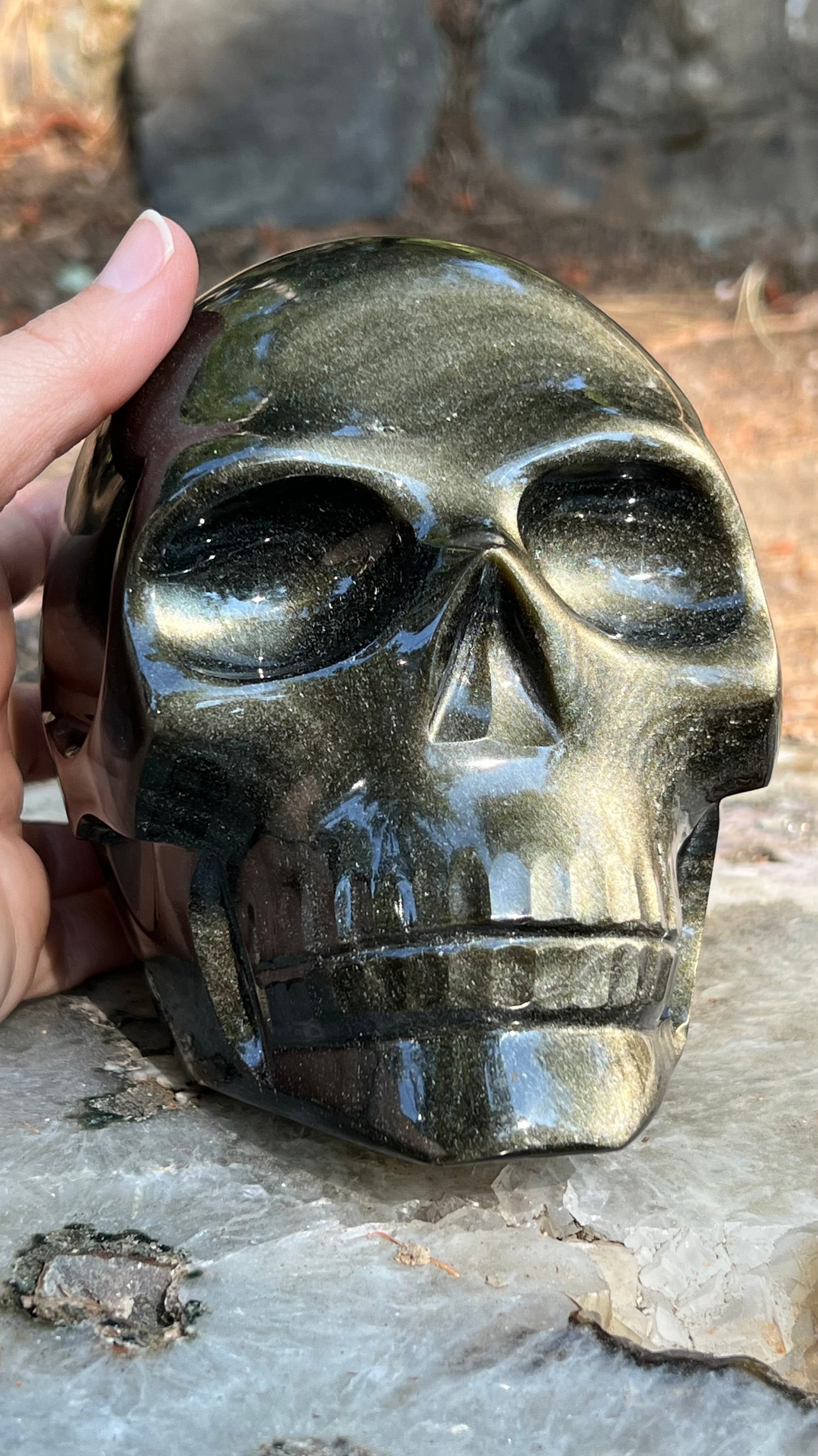 Gold Sheen Black Obsidian Skull