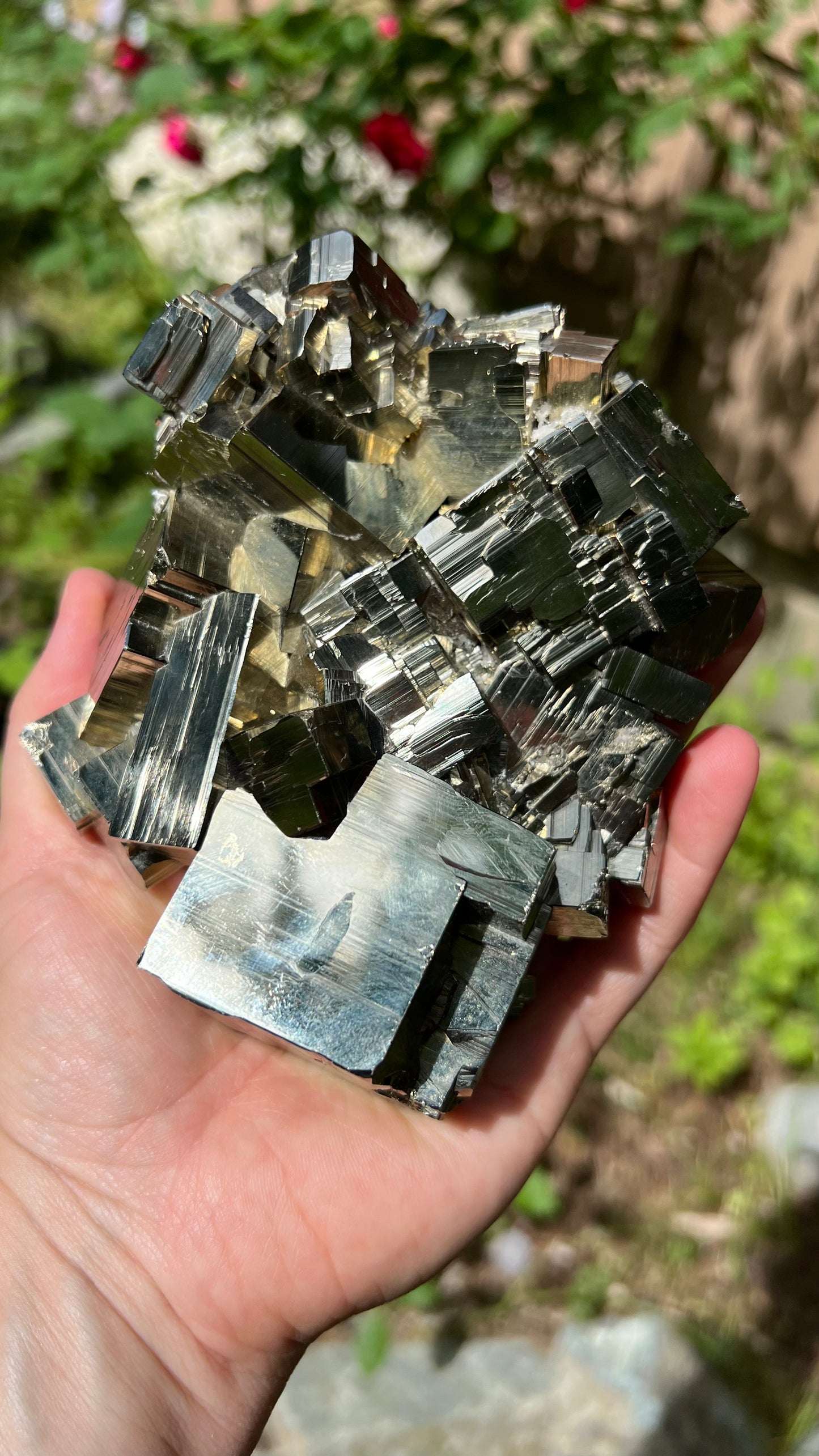 Striking Pyrite with Quartz, Huanzala Mine, Peru