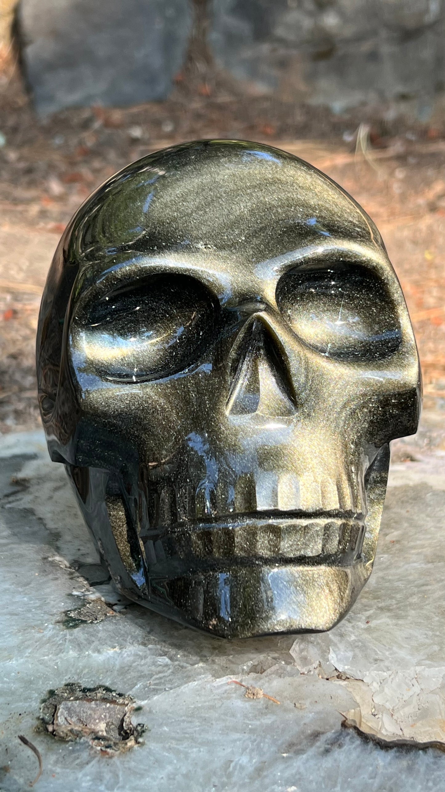 Gold Sheen Black Obsidian Skull