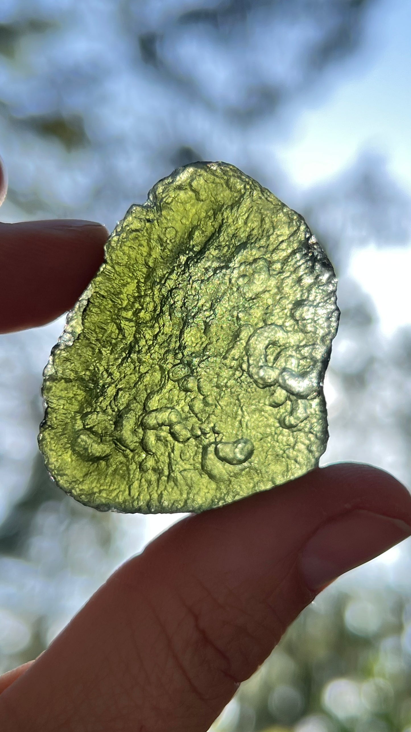 Museum Grade Moldavite, 16.6g Czech Republic