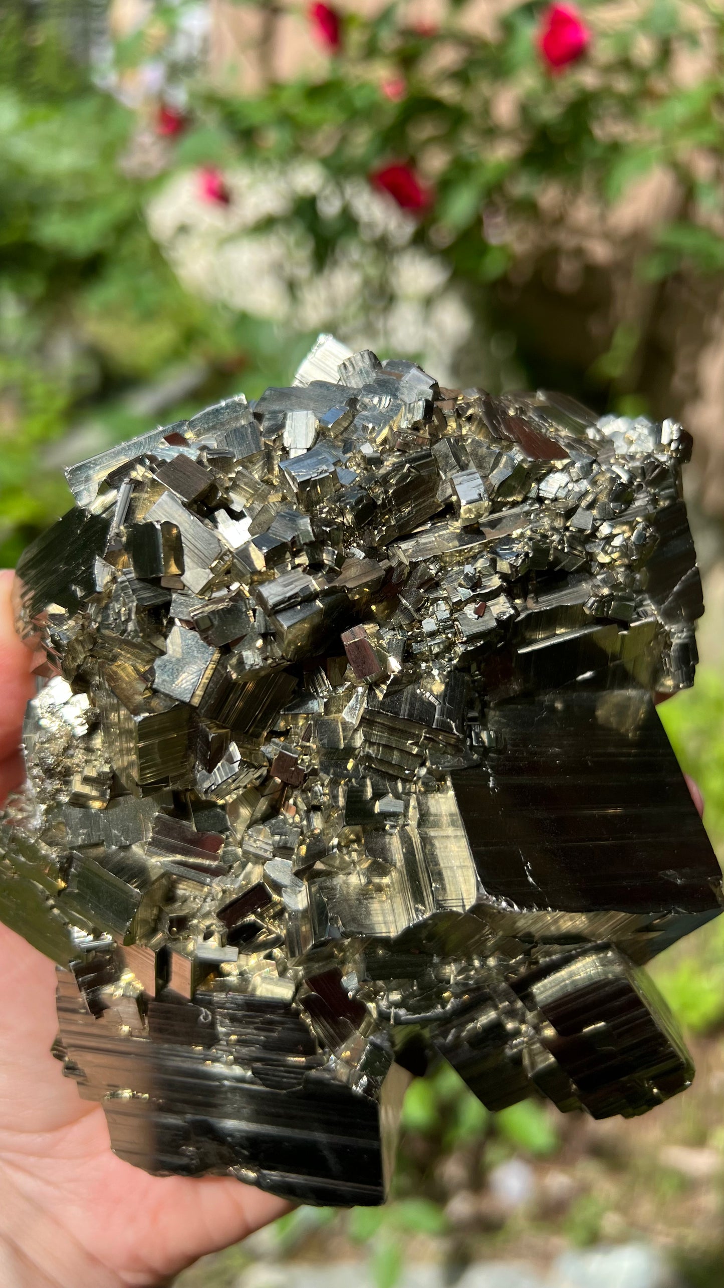 Striking Pyrite with Quartz, Huanzala Mine, Peru