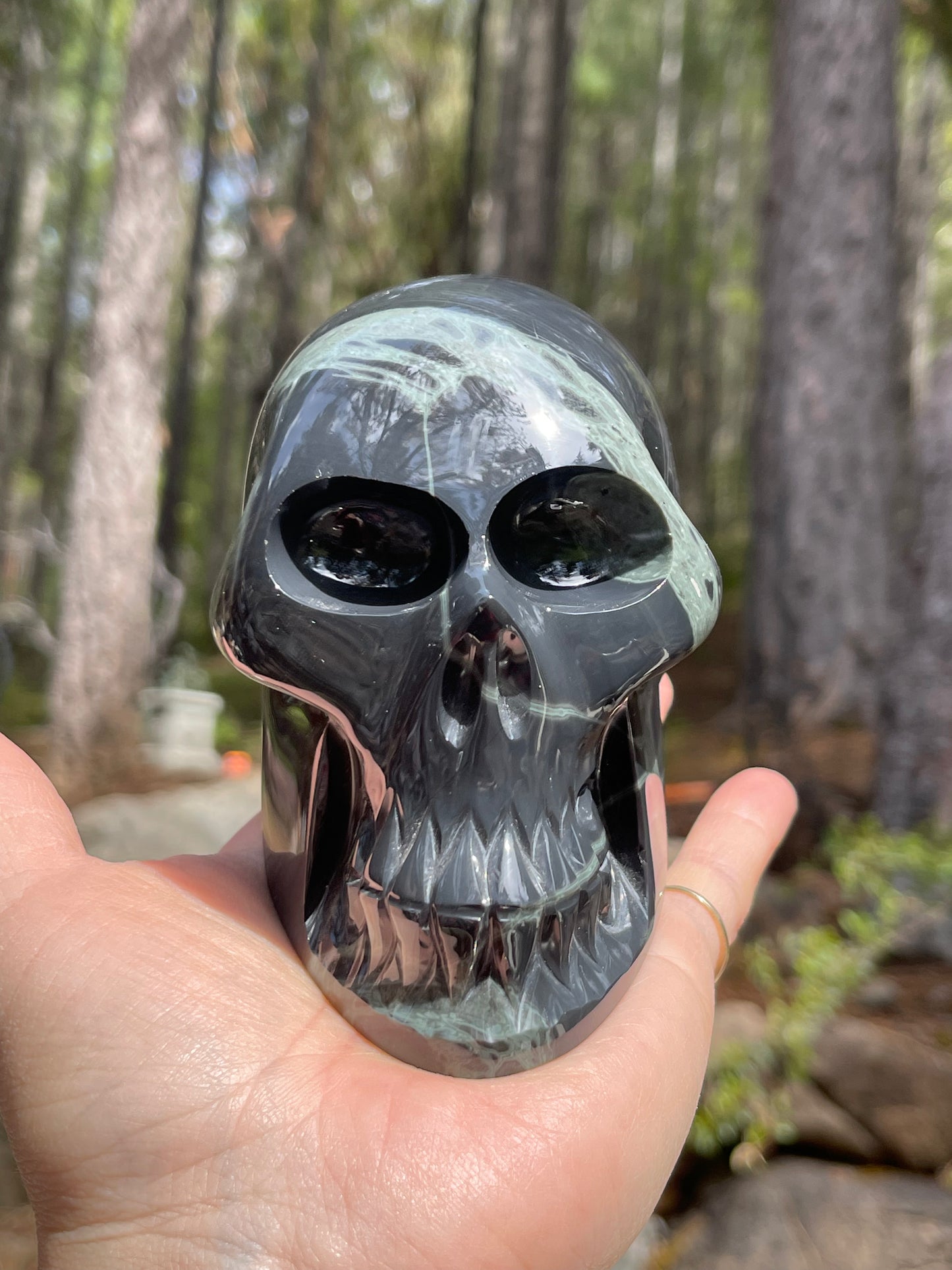 Spider Web Obsidian Skull