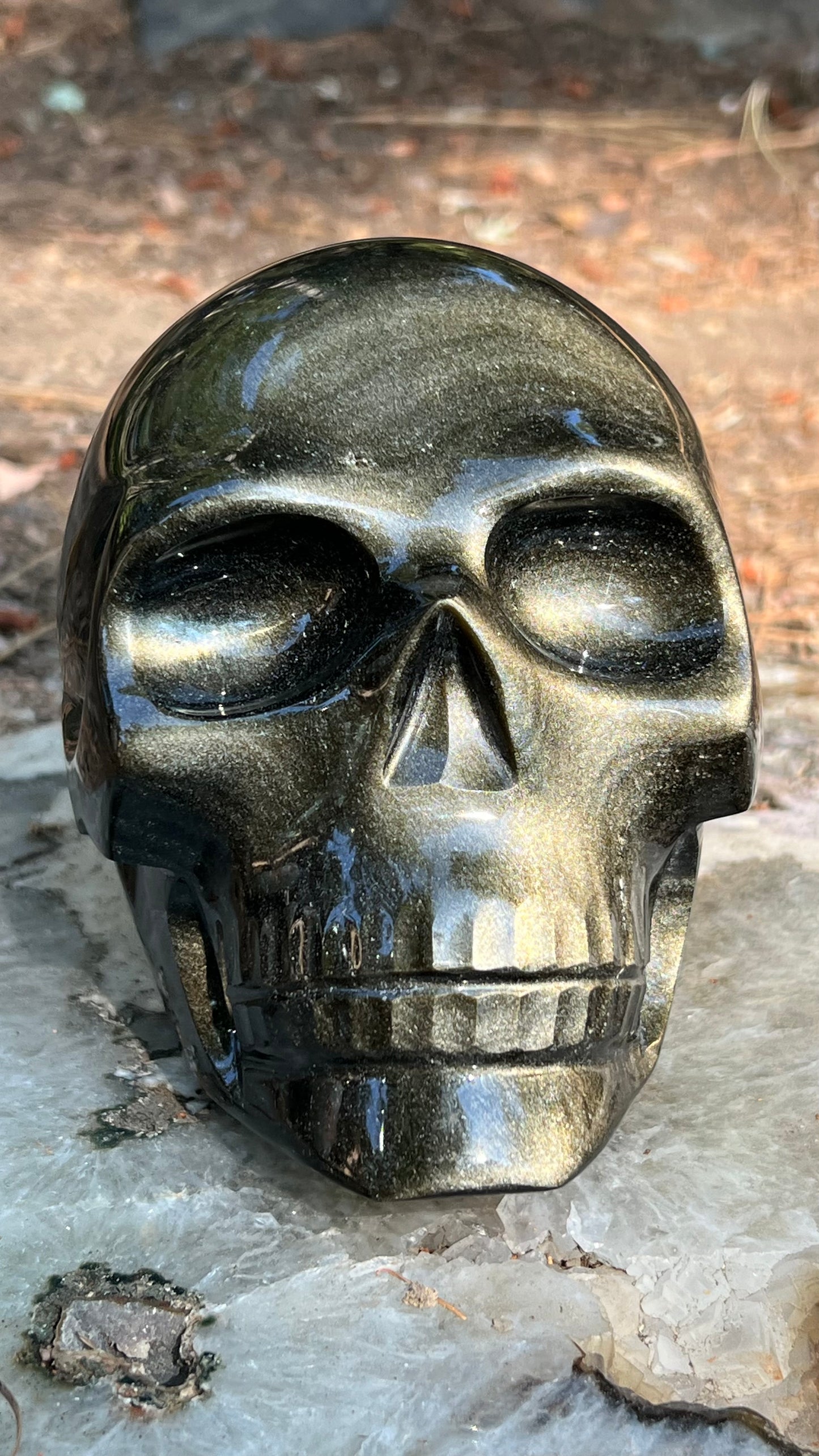 Gold Sheen Black Obsidian Skull