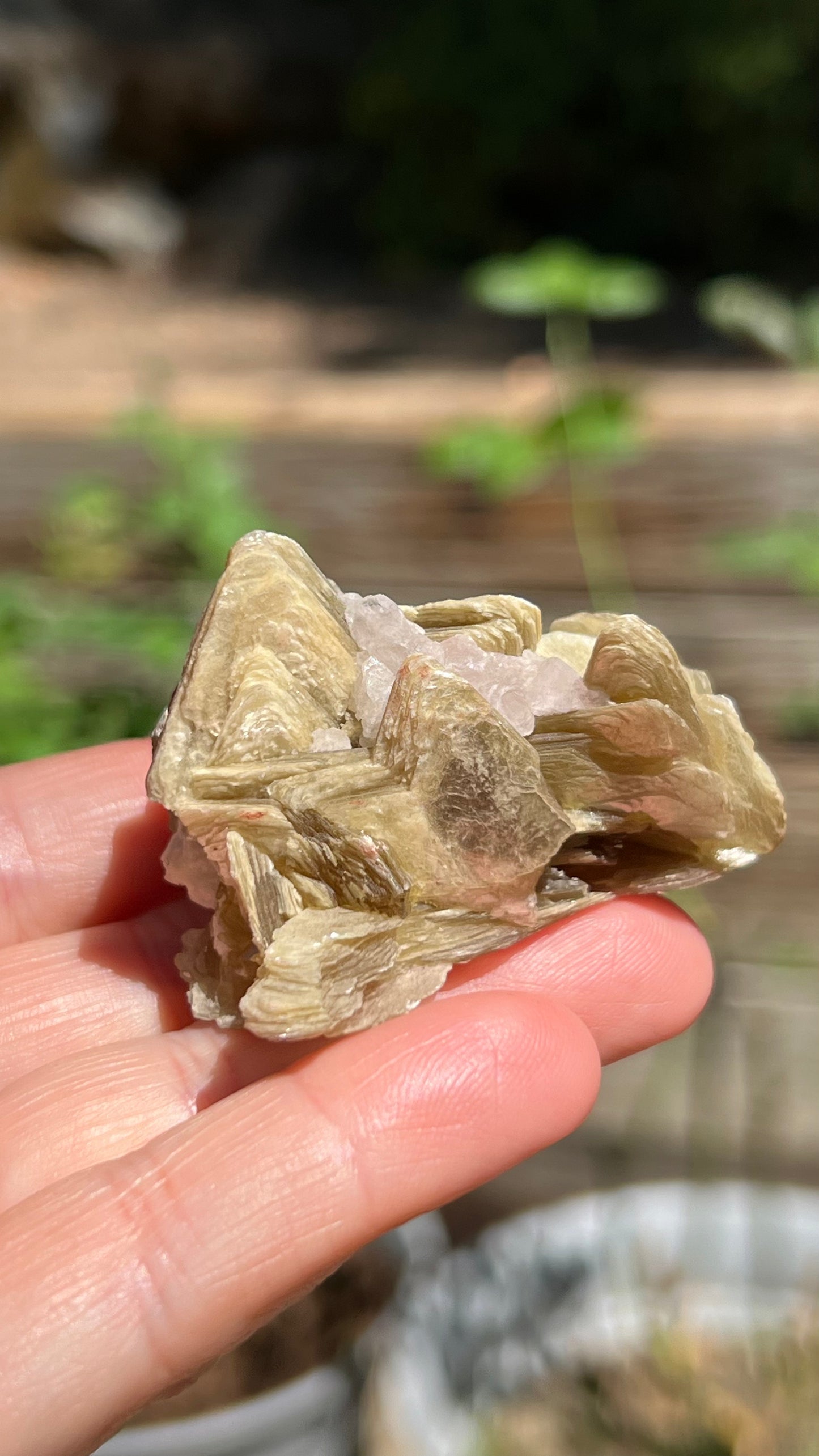 Crystallized Rose Quartz over Star Mica