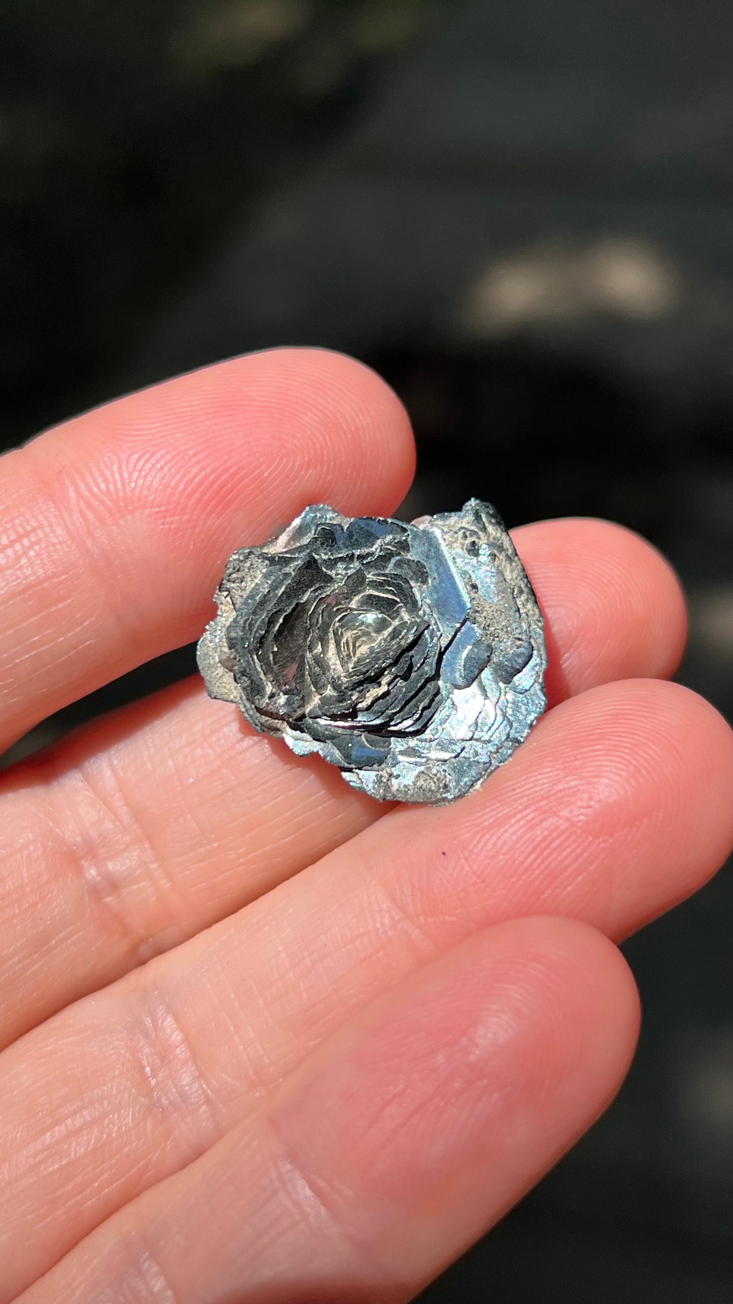 Iron Rose, Hematite Rosette