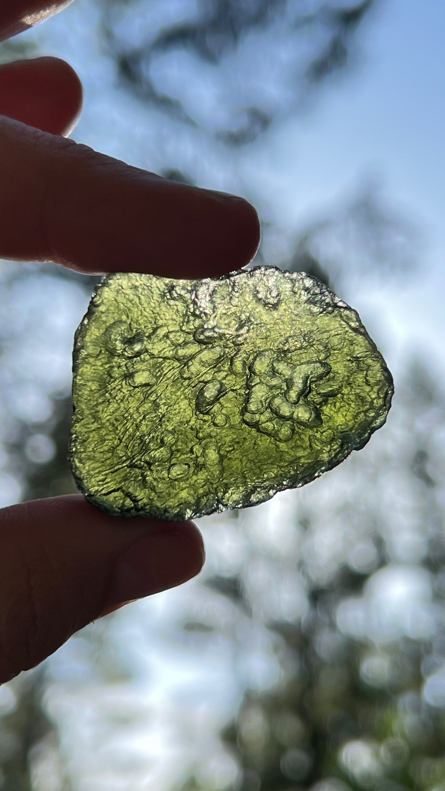 Museum Grade Moldavite, 16.6g Czech Republic