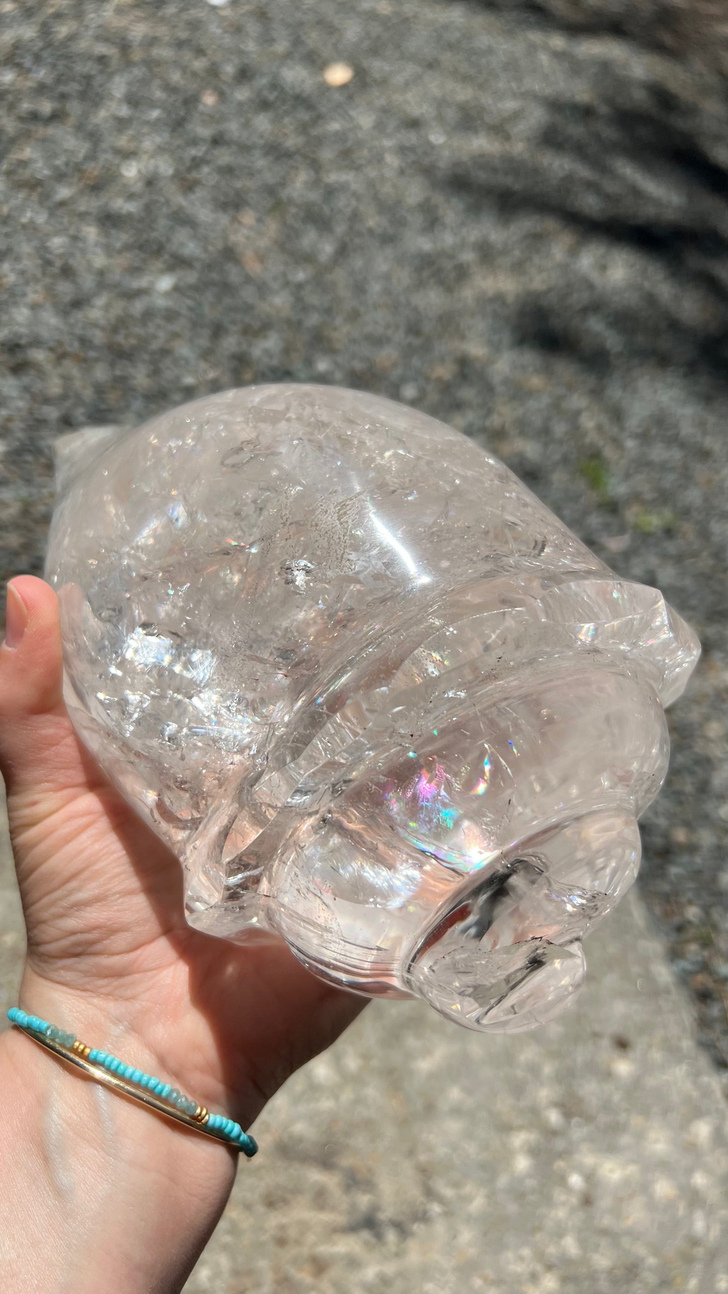 Prismatic Quartz Seashell Carving, 9lbs! Brazil