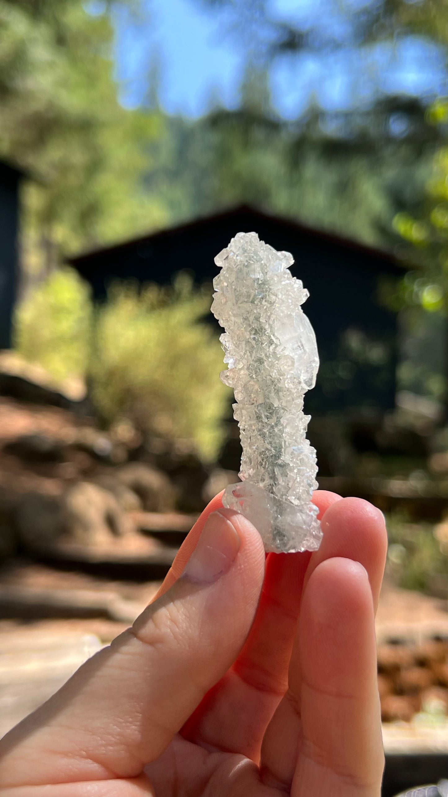 Apophyllite Crystals over Stalactite, India
