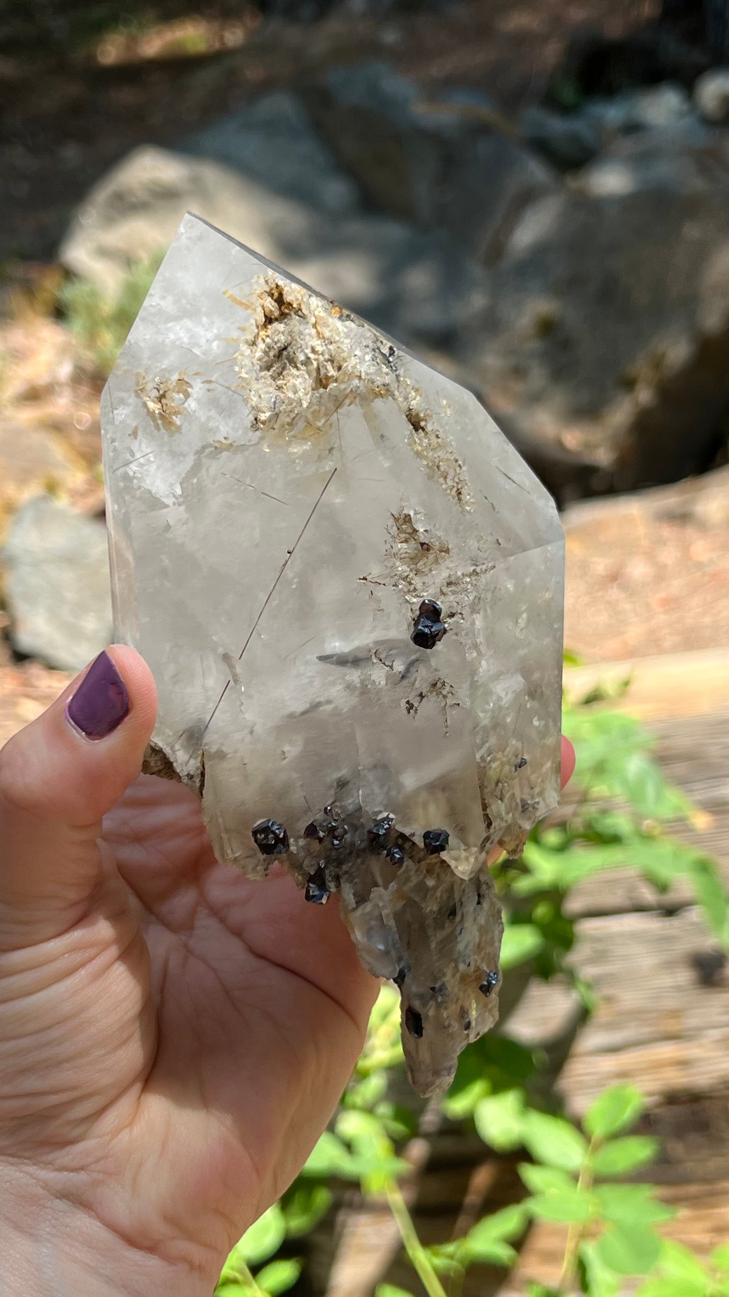 Quartz Scepter with Rutile and Garnets