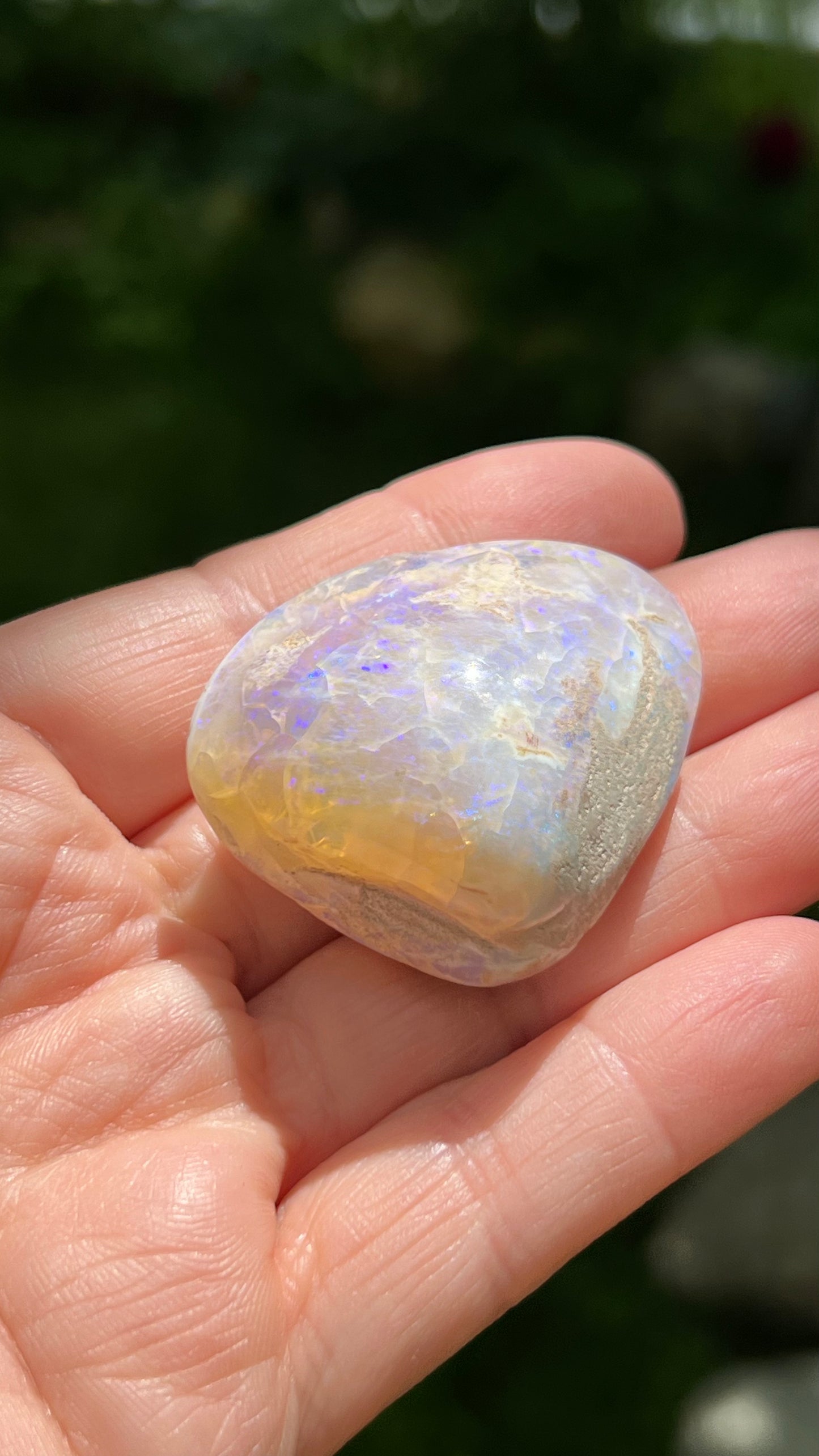 Opalized Clam Shell, 128cts Coober Pedy Australia, Iridescent Fossils