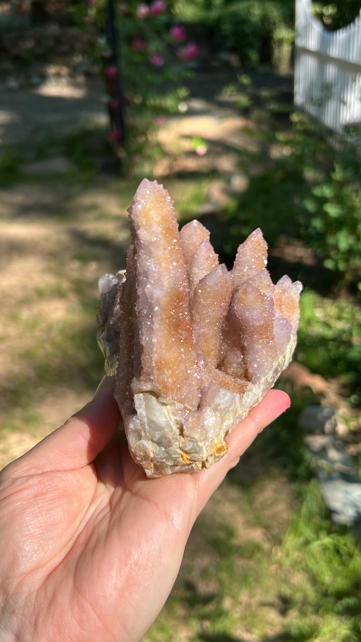 Lavender Spirit Quartz Cactus Quartz, South Africa