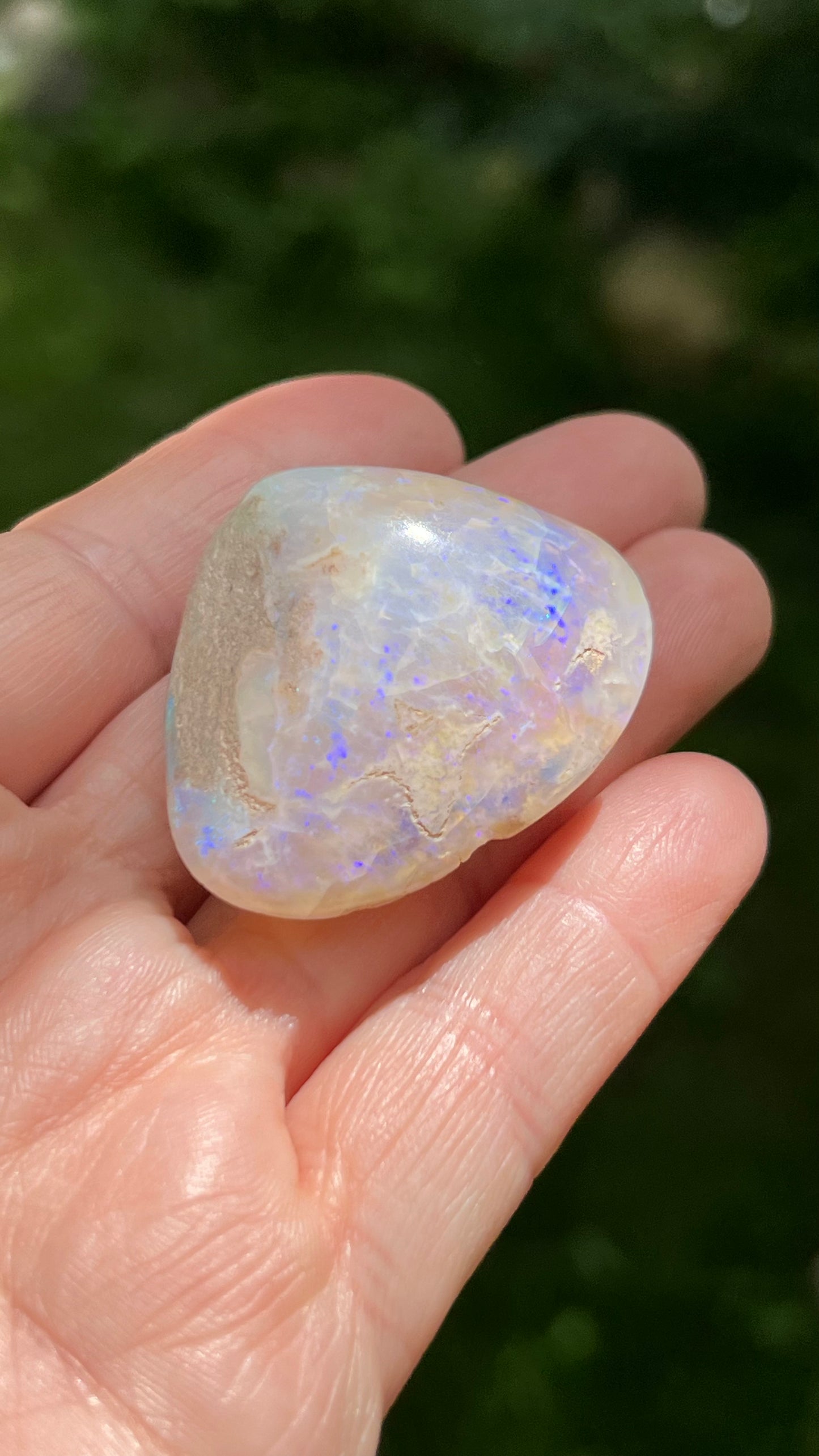 Opalized Clam Shell, 128cts Coober Pedy Australia, Iridescent Fossils