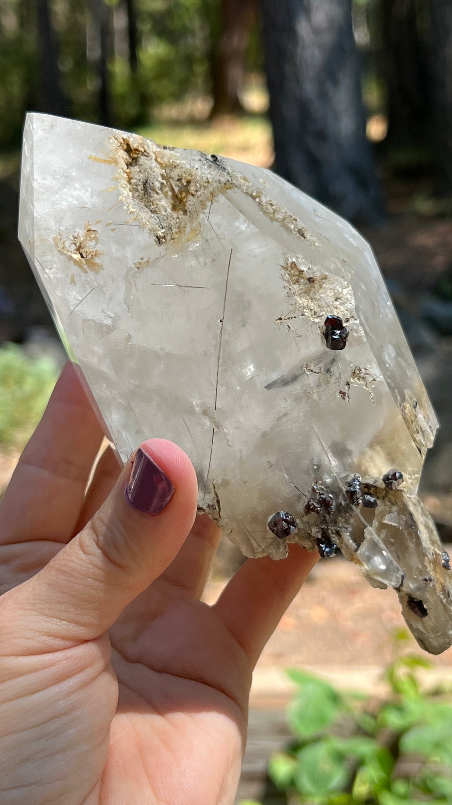 Quartz Scepter with Rutile and Garnets