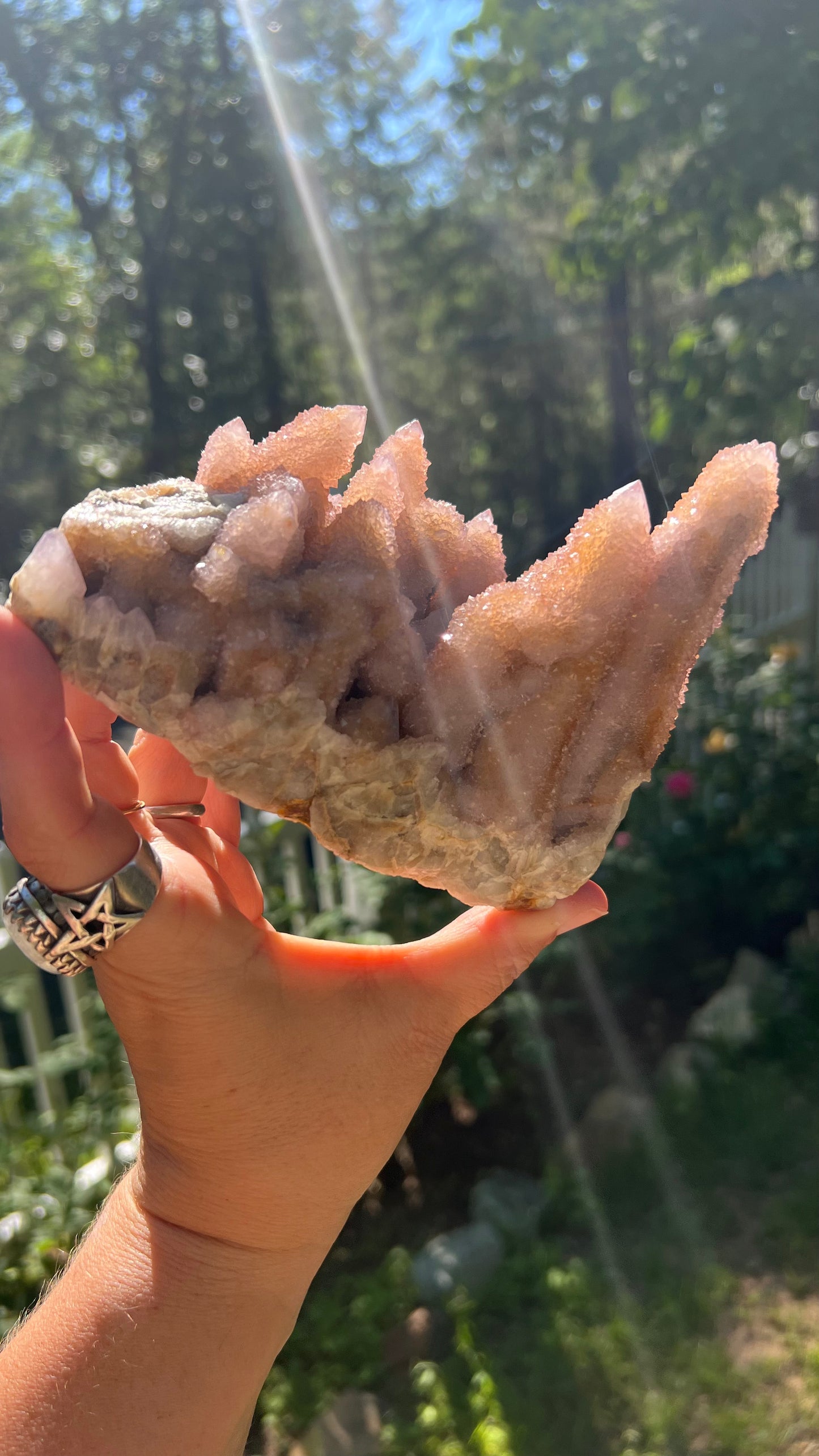 Lavender Spirit Quartz Cactus Quartz, South Africa