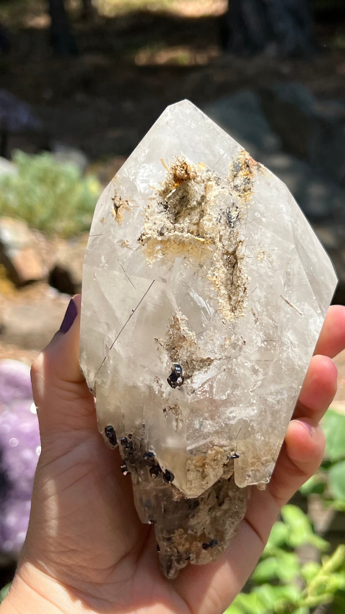 Quartz Scepter with Rutile and Garnets
