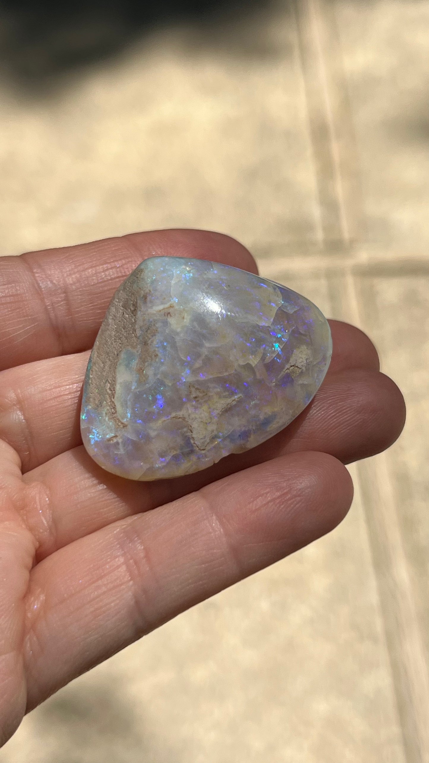 Opalized Clam Shell, 128cts Coober Pedy Australia, Iridescent Fossils