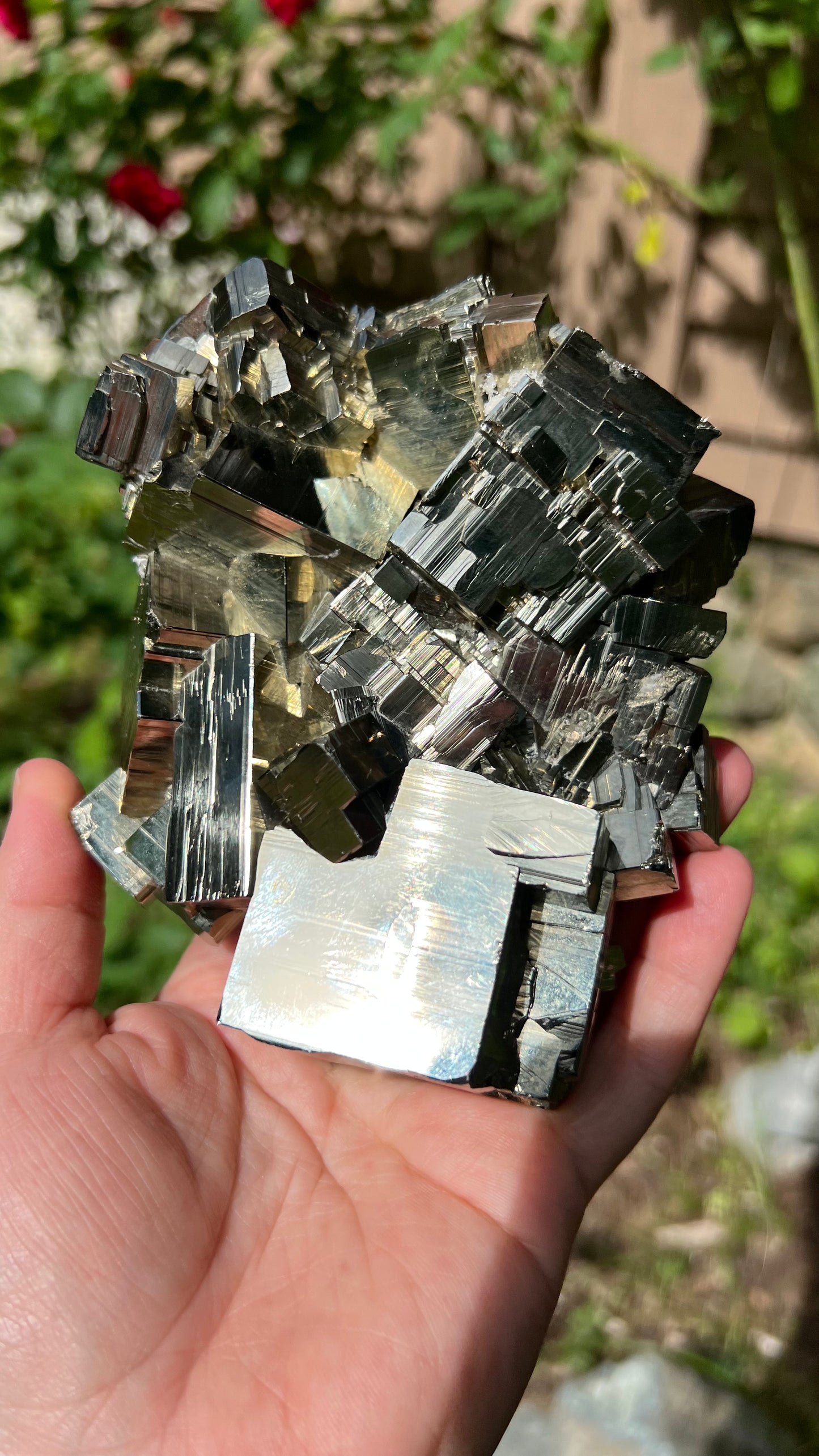 Striking Pyrite with Quartz, Huanzala Mine, Peru