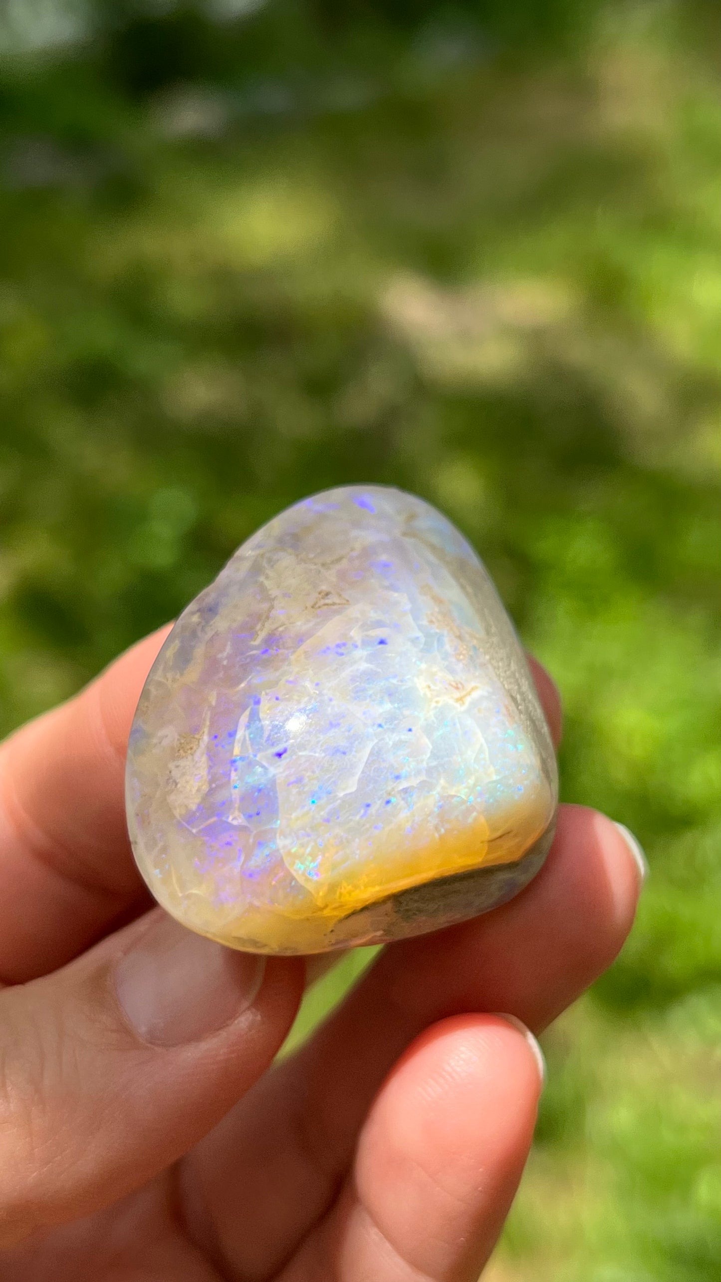 Opalized Clam Shell, 128cts Coober Pedy Australia, Iridescent Fossils
