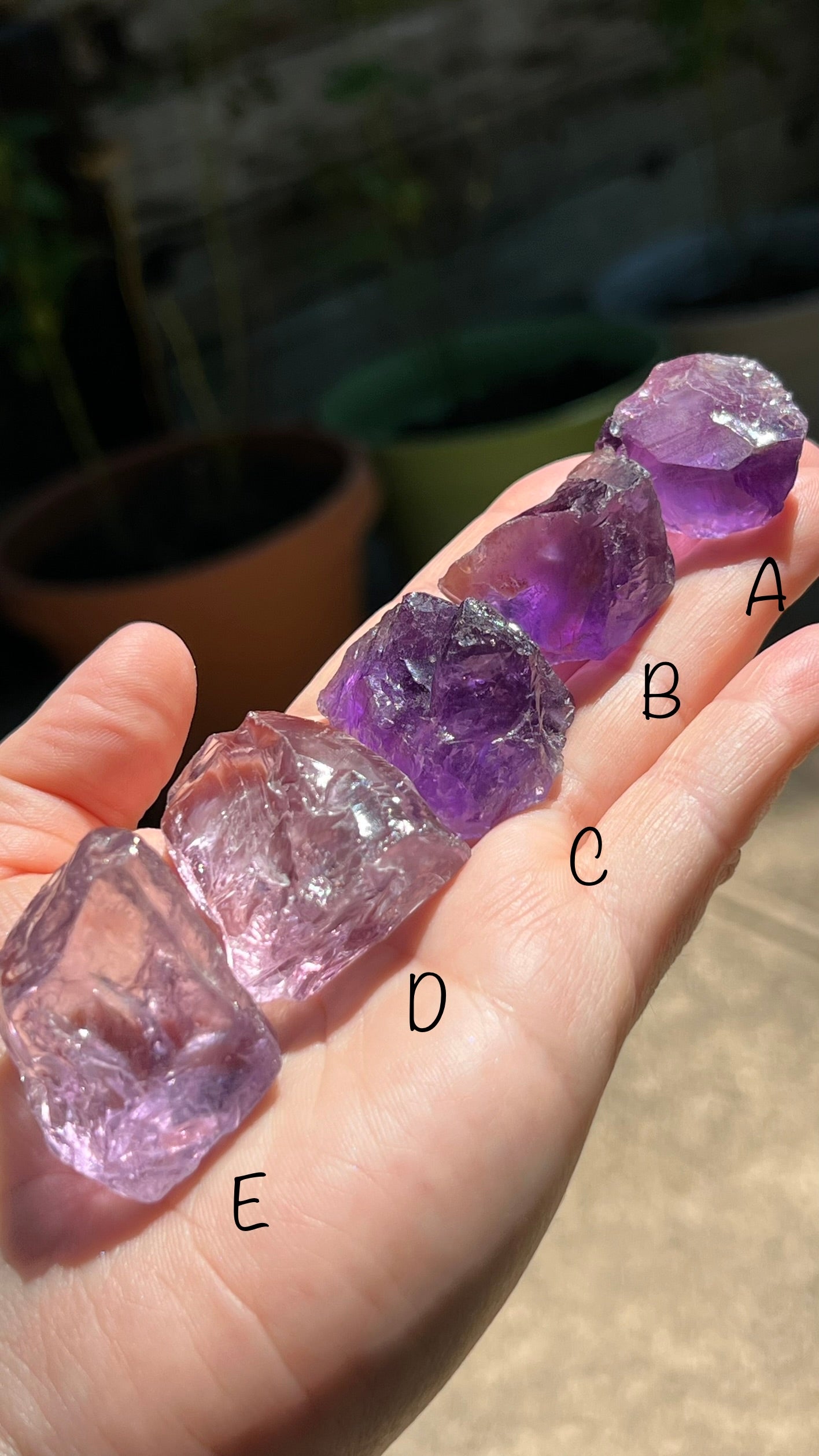 Gemmy Amethyst, Raw Crystals You Choose!