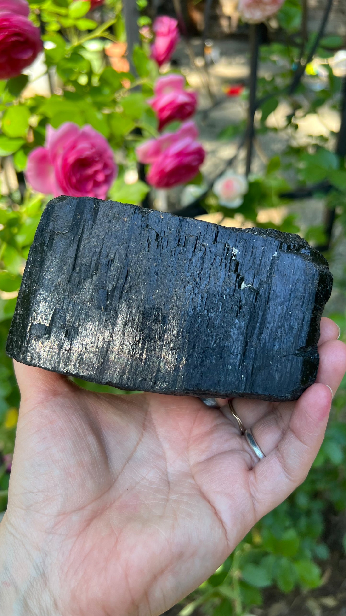 Schorl, Black Tourmaline Crystal, Brazil