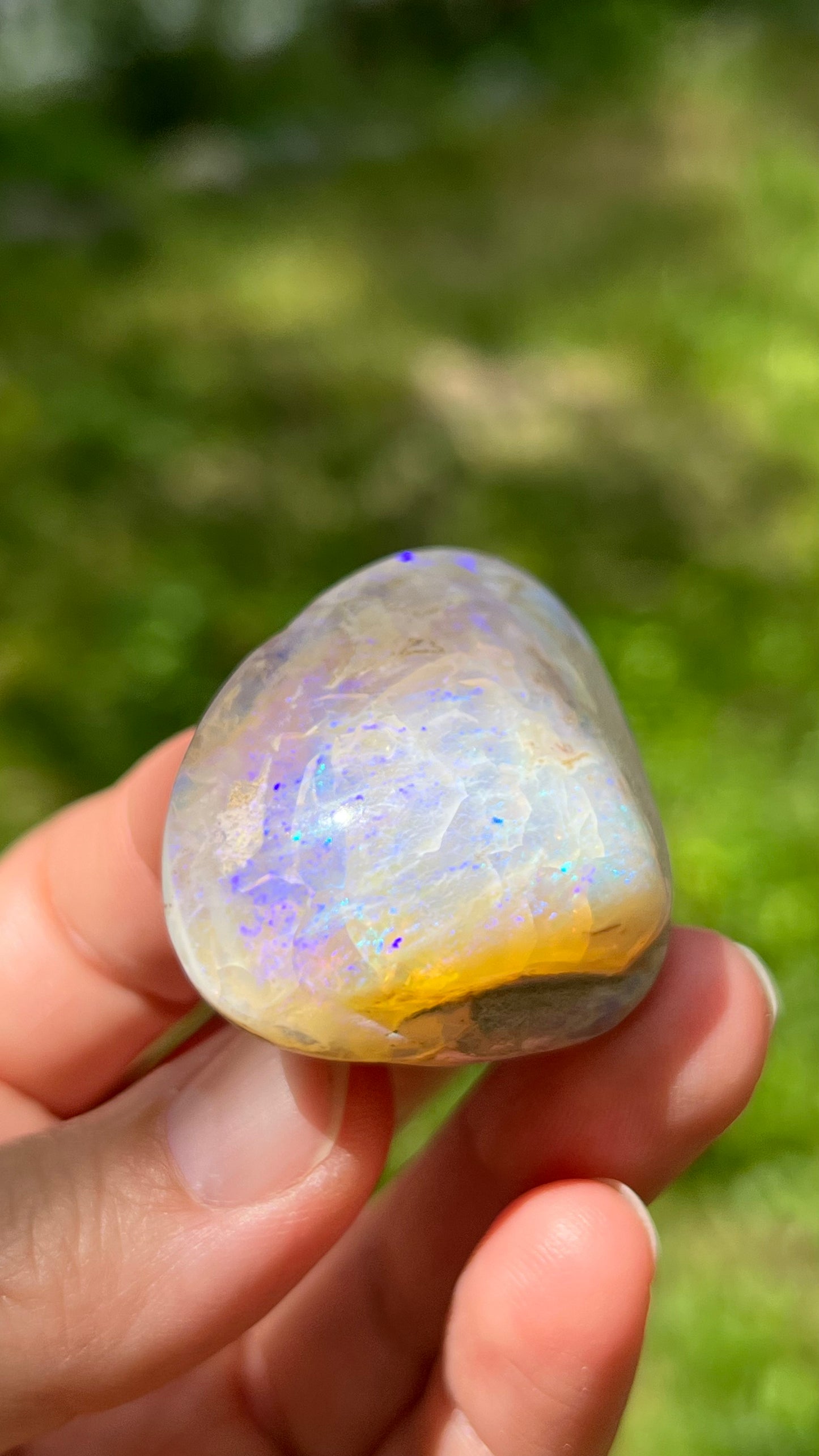 Opalized Clam Shell, 128cts Coober Pedy Australia, Iridescent Fossils