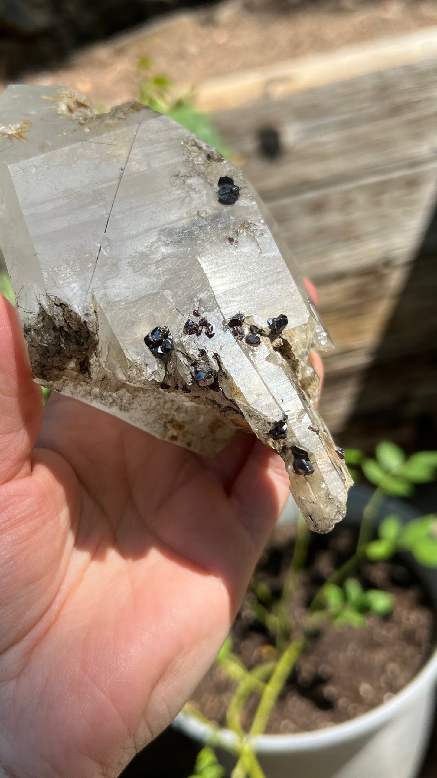 Quartz Scepter with Rutile and Garnets