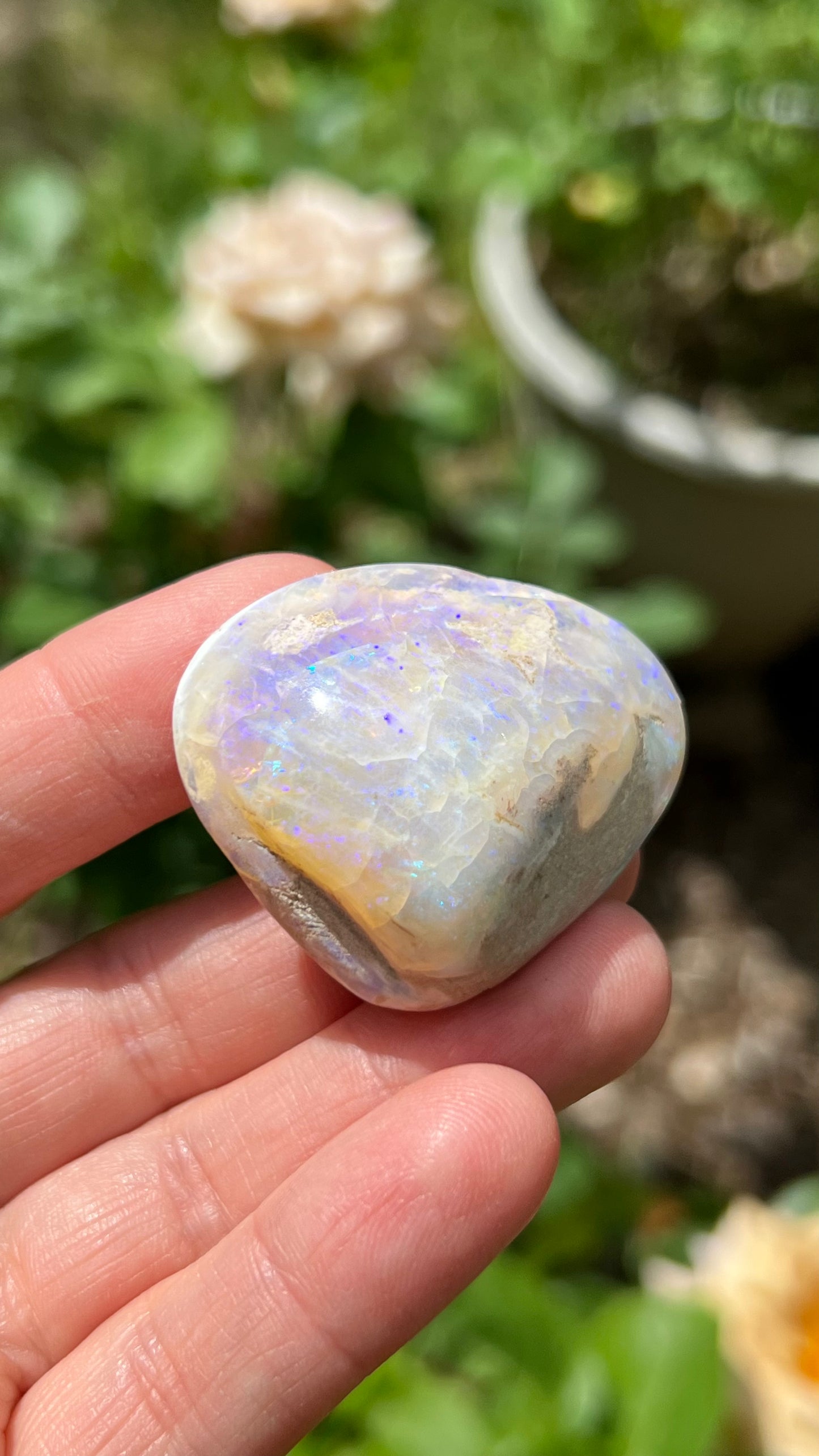 Opalized Clam Shell, 128cts Coober Pedy Australia, Iridescent Fossils
