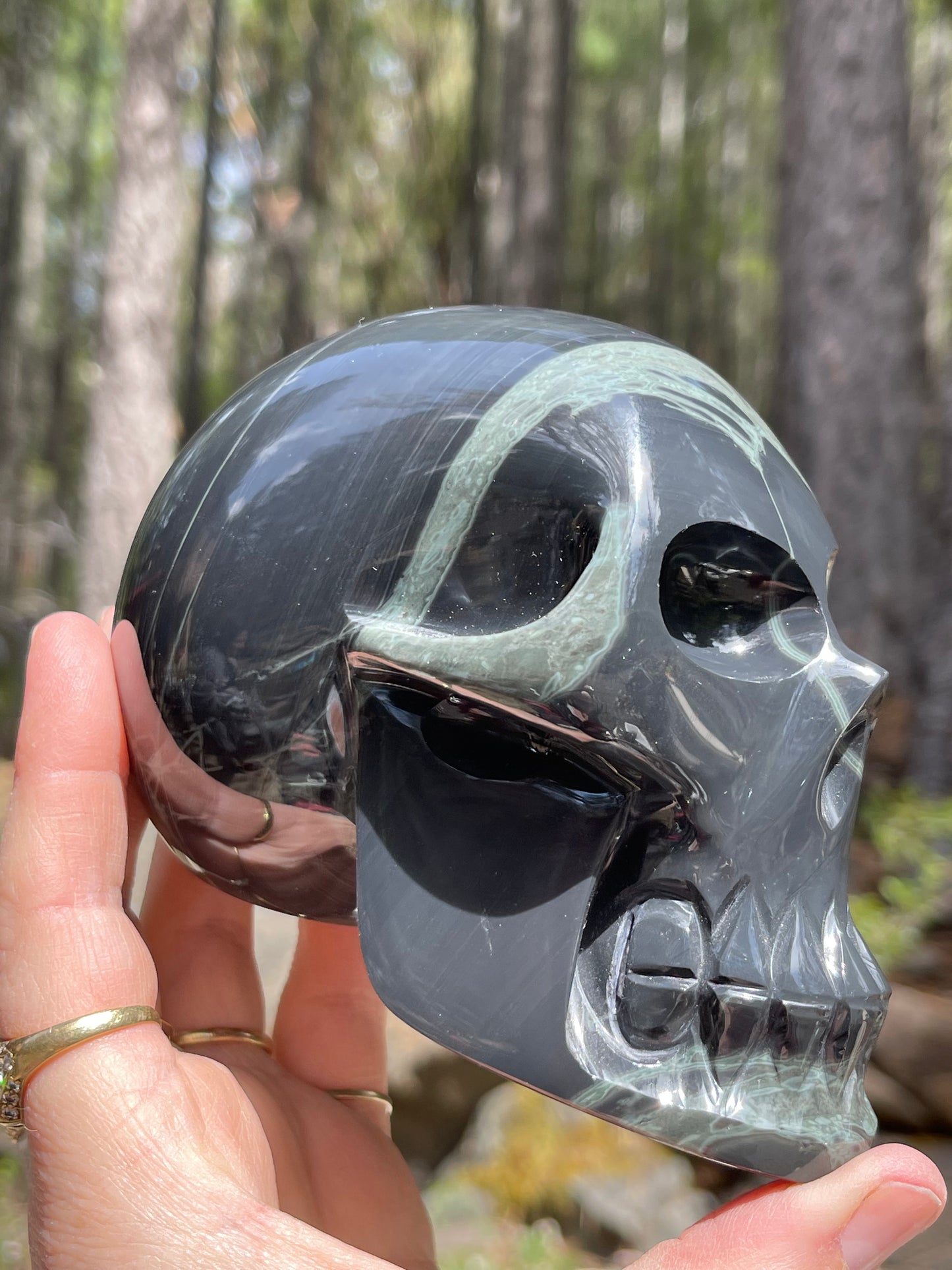 Spider Web Obsidian Skull