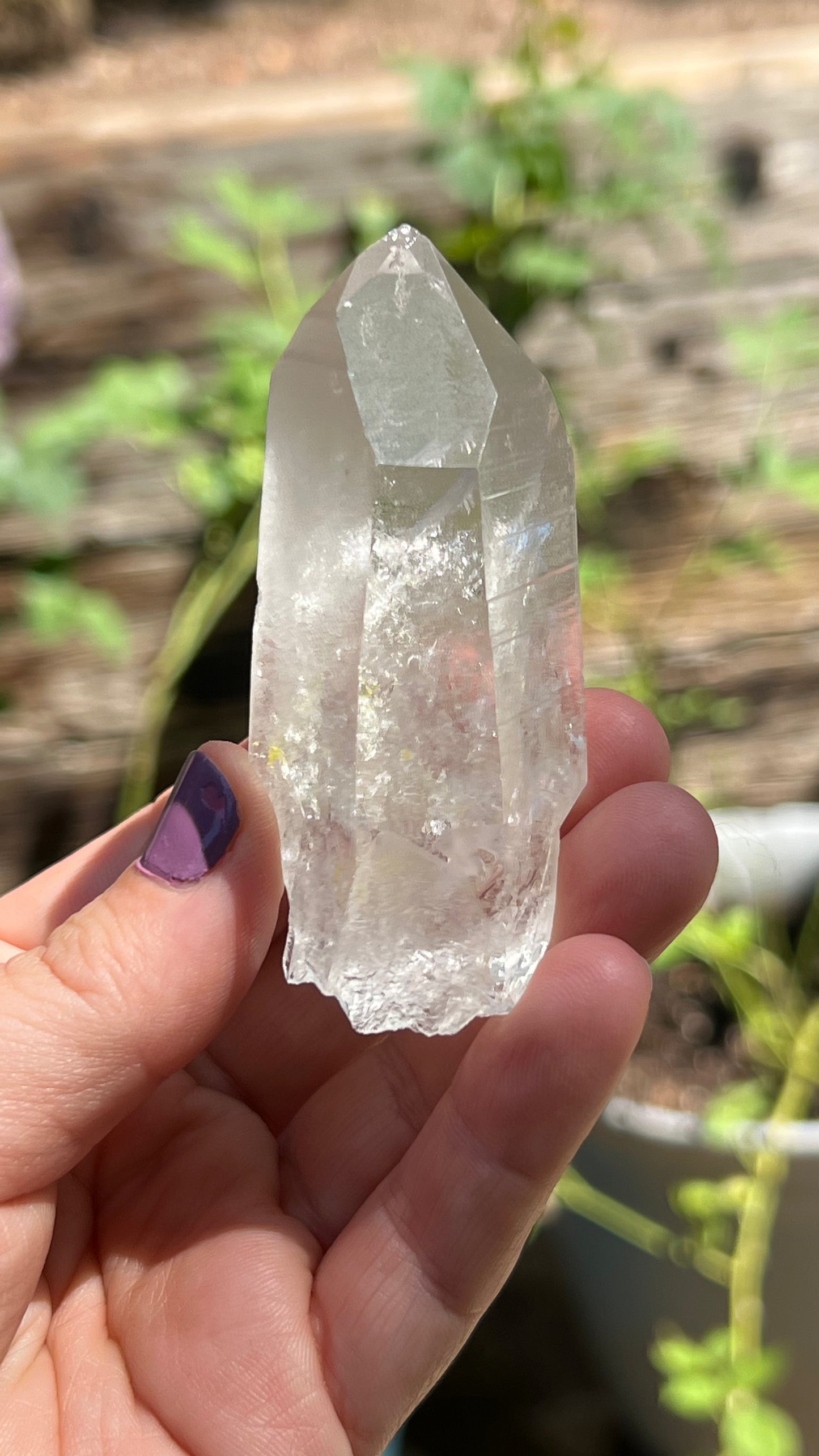 Recordkeeper Lemurian 7-3-7 Quartz, Colombia