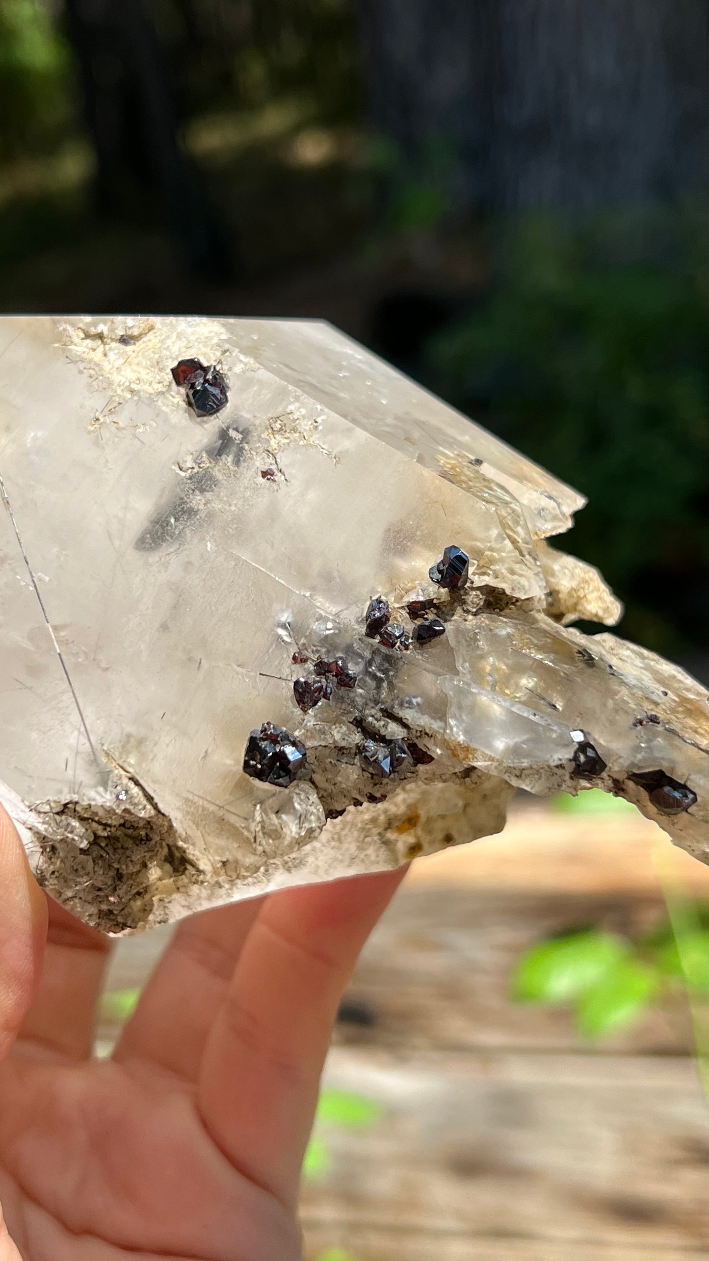 Quartz Scepter with Rutile and Garnets