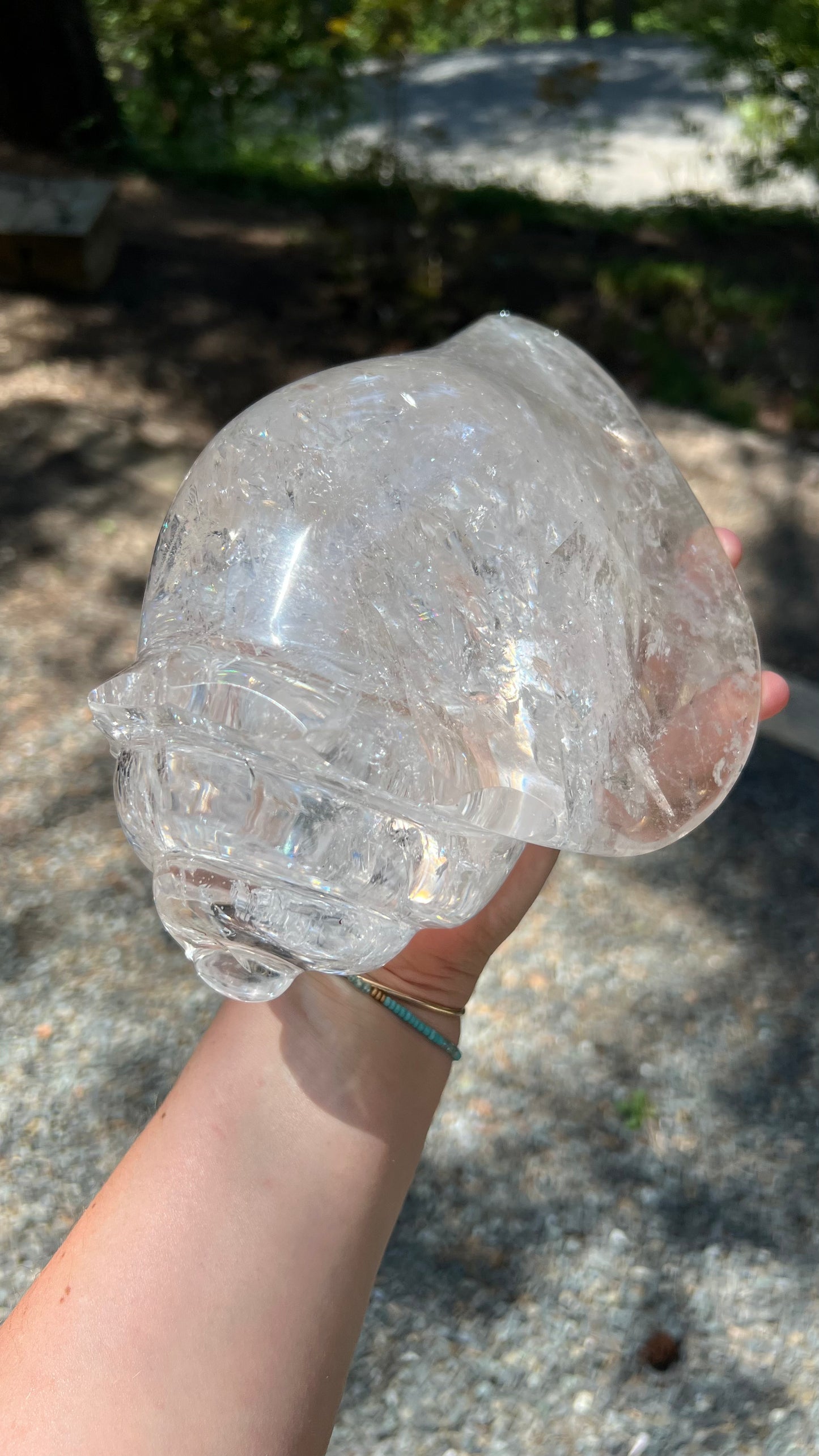 Prismatic Quartz Seashell Carving, 9lbs! Brazil