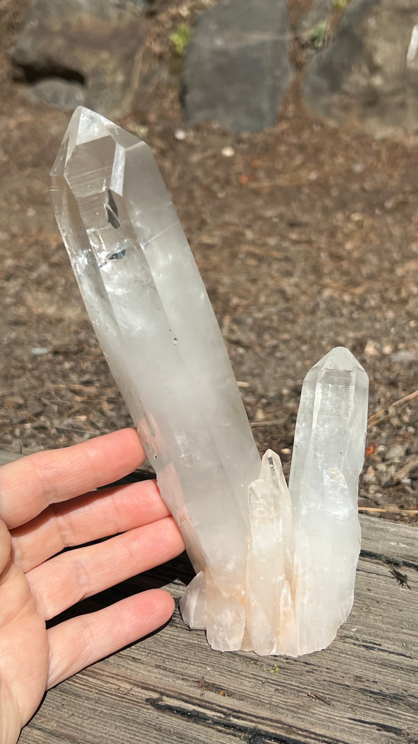 Clear Standing Lemurian Quartz, Brazil