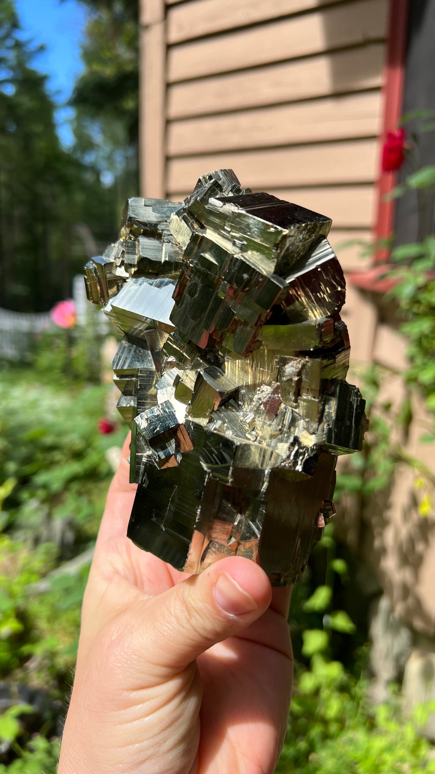 Striking Pyrite with Quartz, Huanzala Mine, Peru