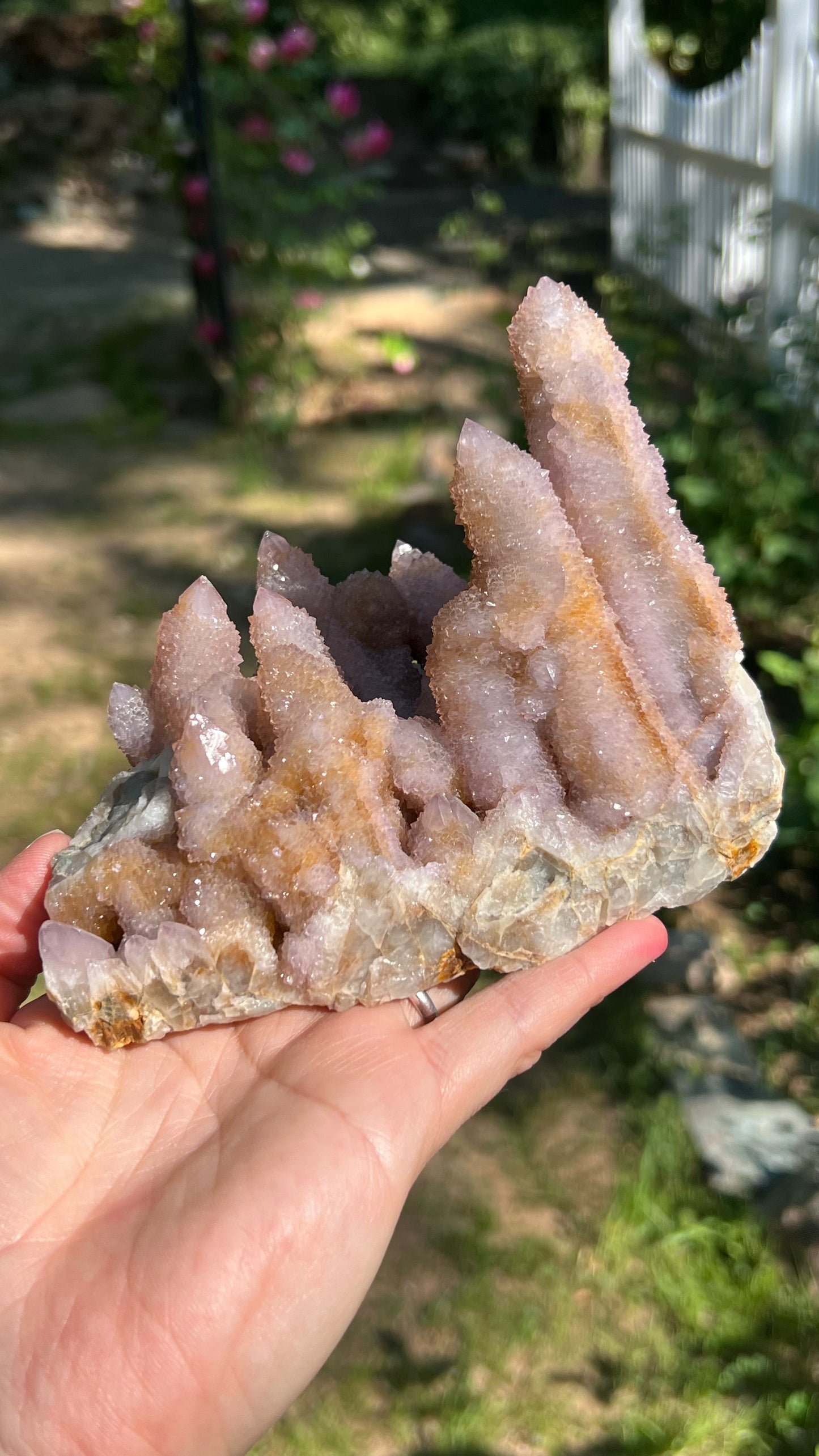 Lavender Spirit Quartz Cactus Quartz, South Africa