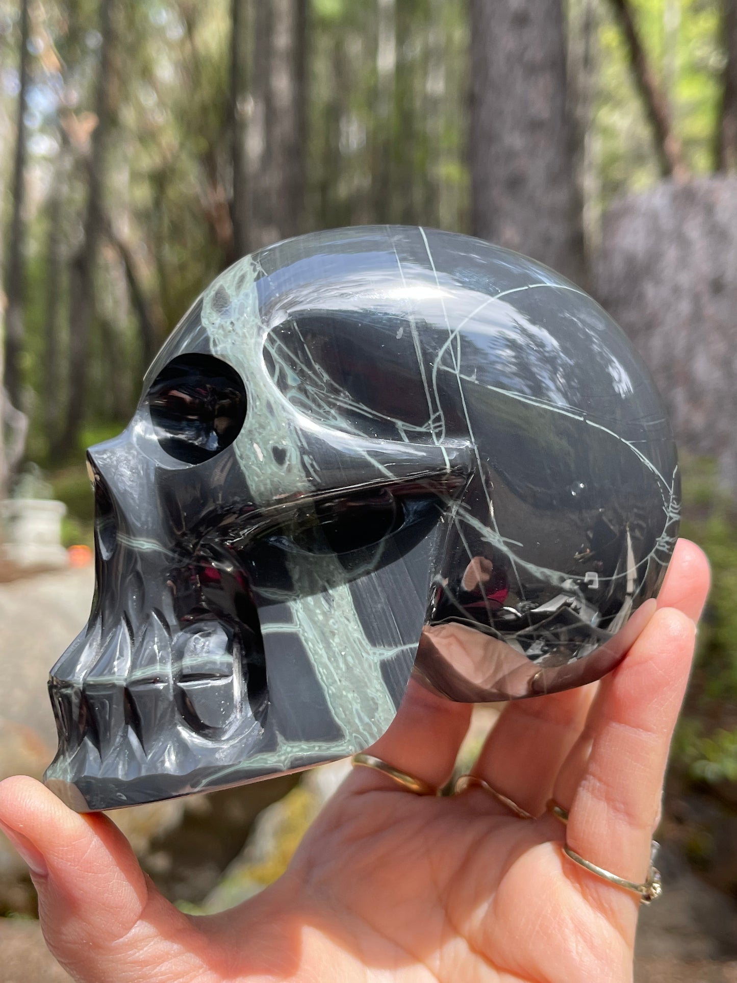 Spider Web Obsidian Skull