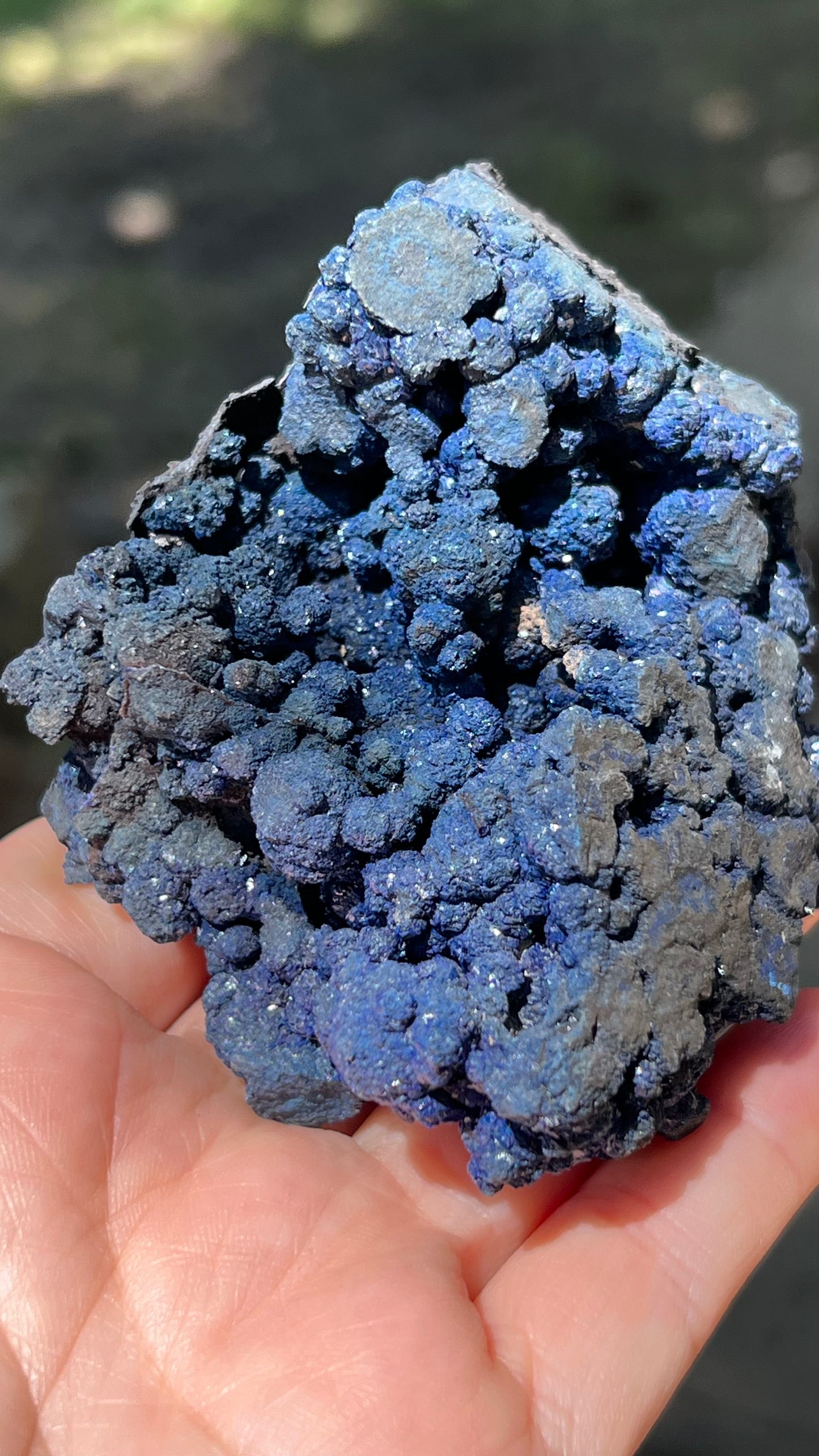 Azurite Rosette Cluster, Morenci Mine Region, Arizona USA