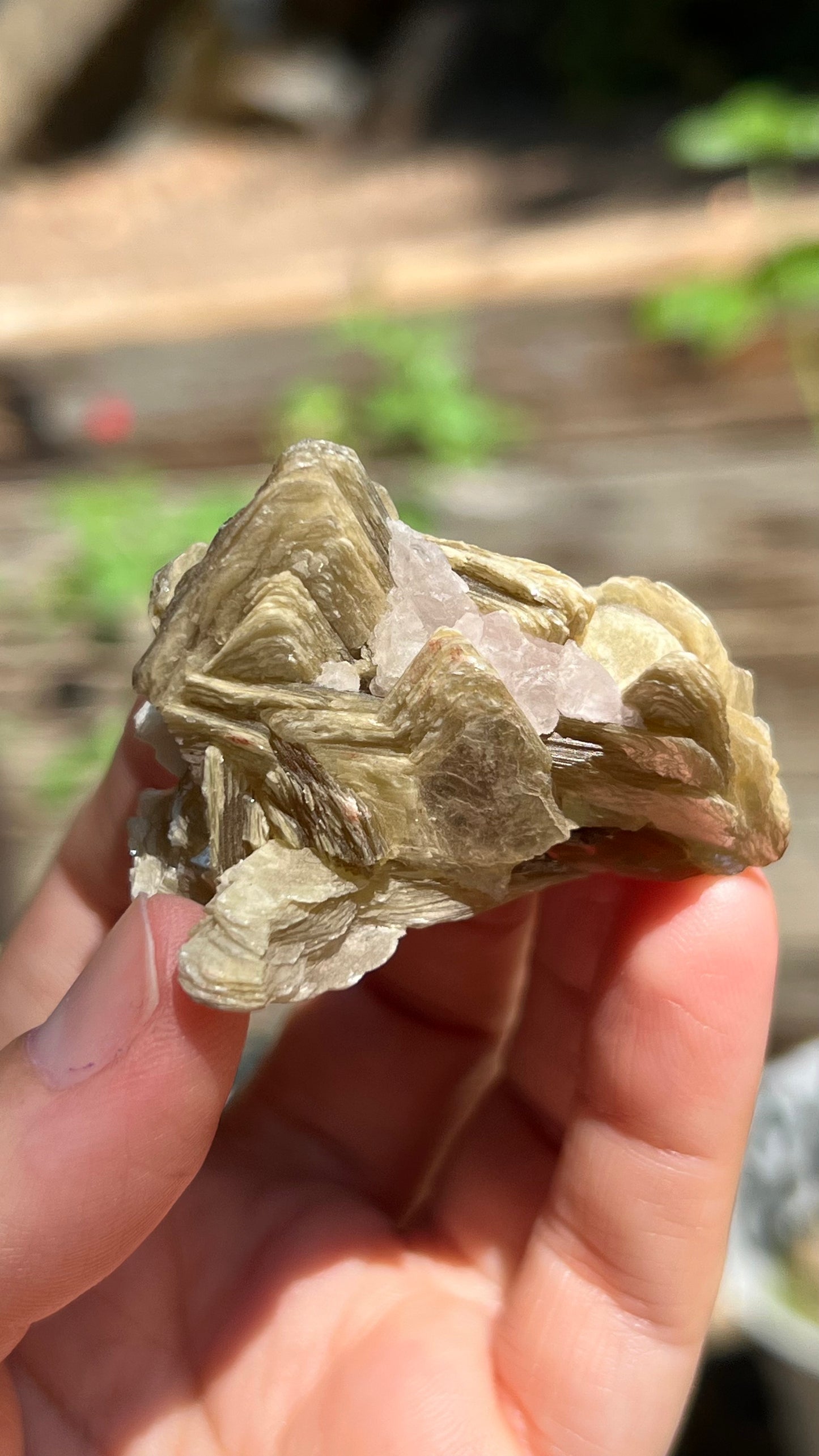 Crystallized Rose Quartz over Star Mica