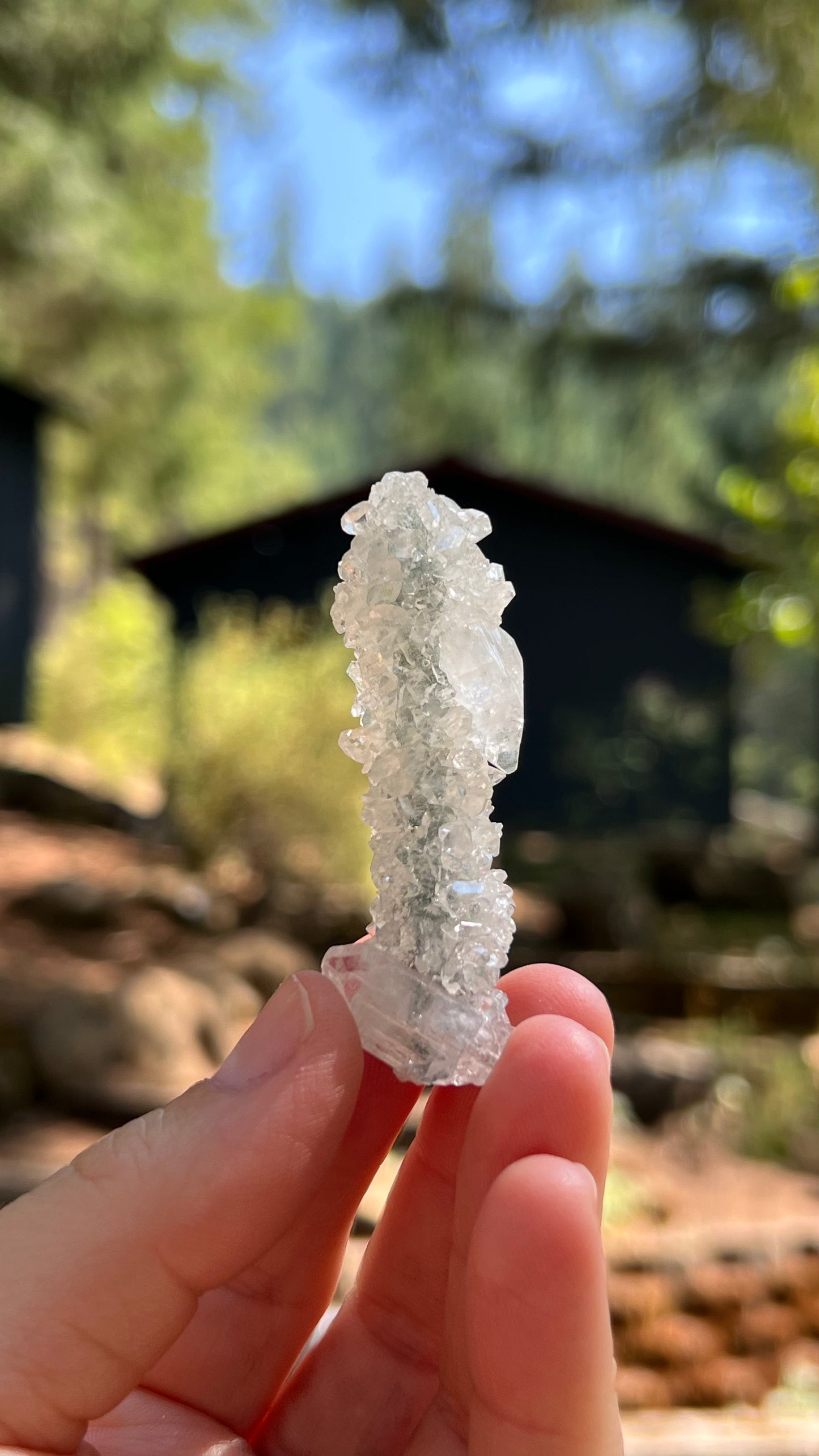 Apophyllite Crystals over Stalactite, India