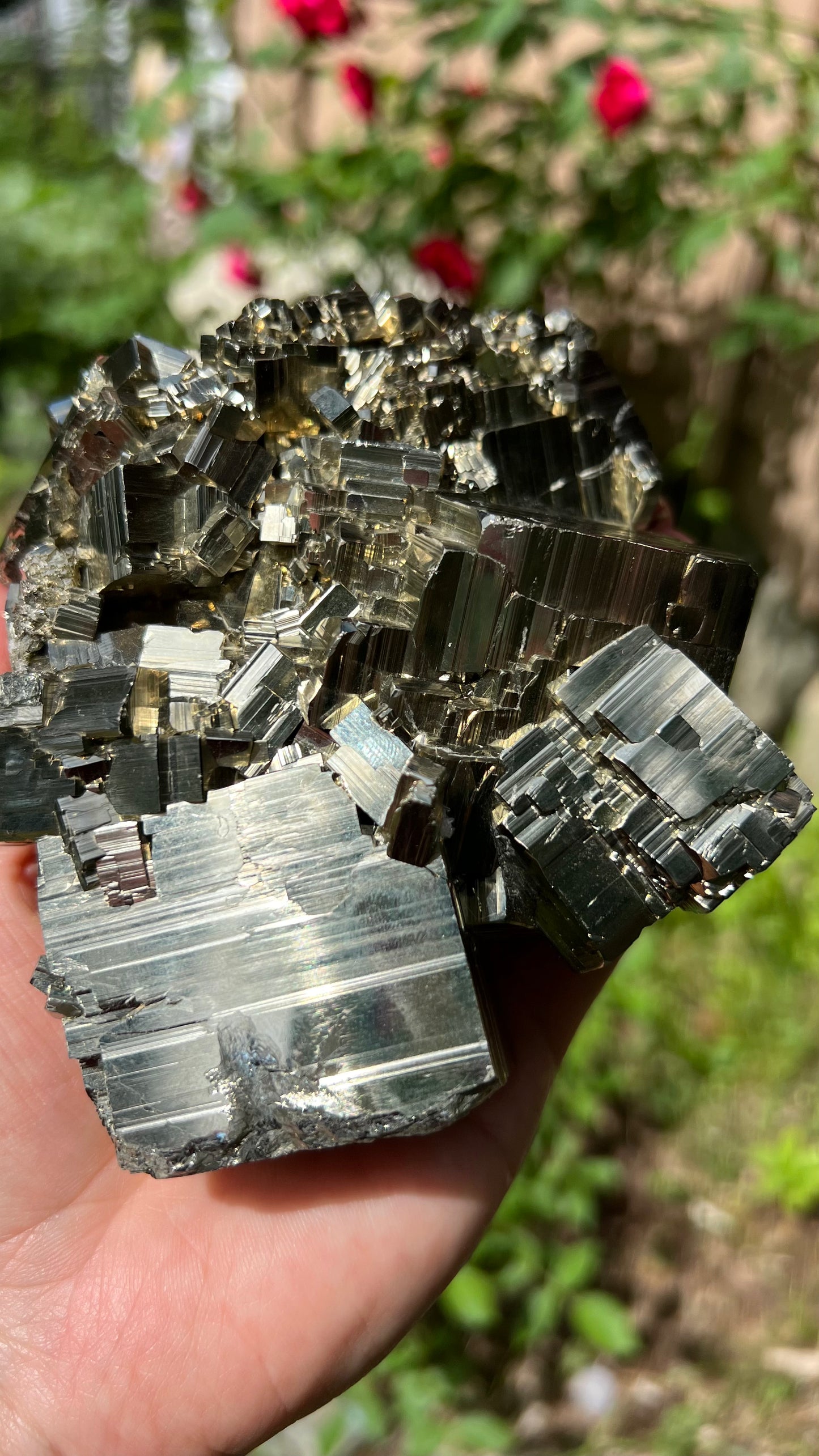 Striking Pyrite with Quartz, Huanzala Mine, Peru