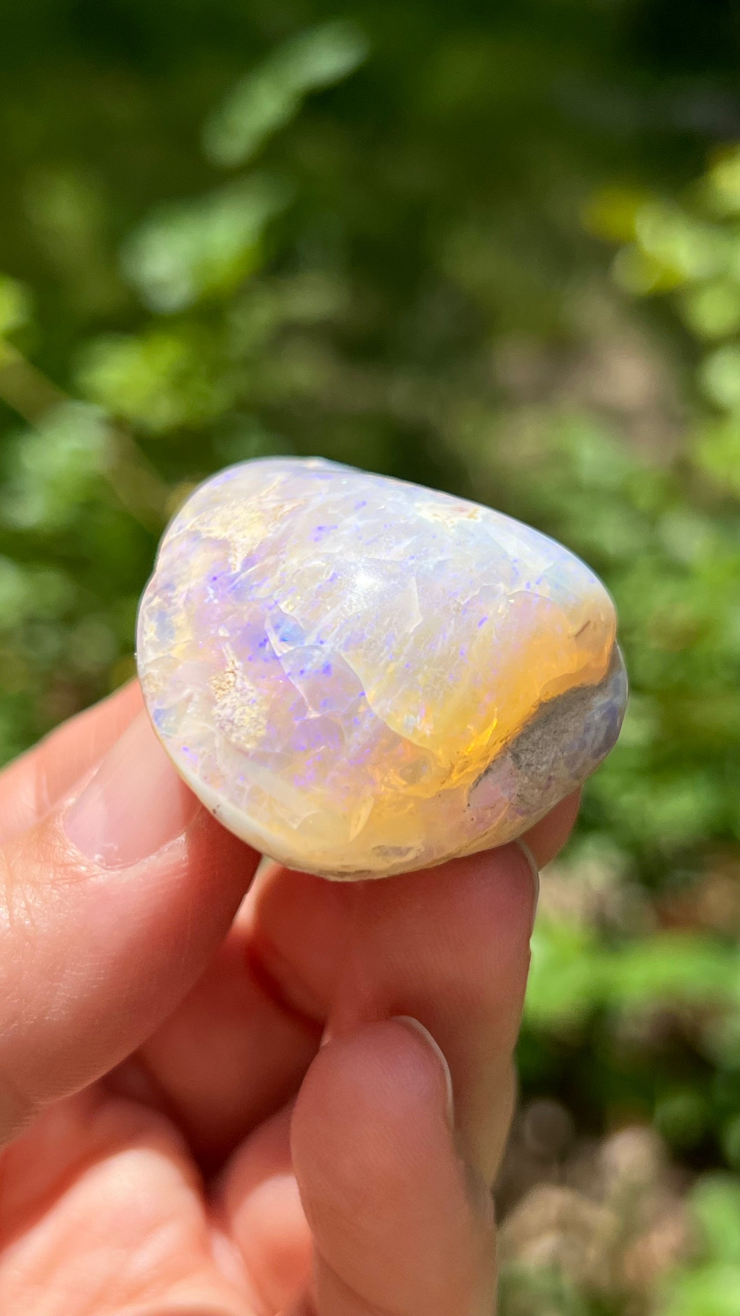 Opalized Clam Shell, 128cts Coober Pedy Australia, Iridescent Fossils